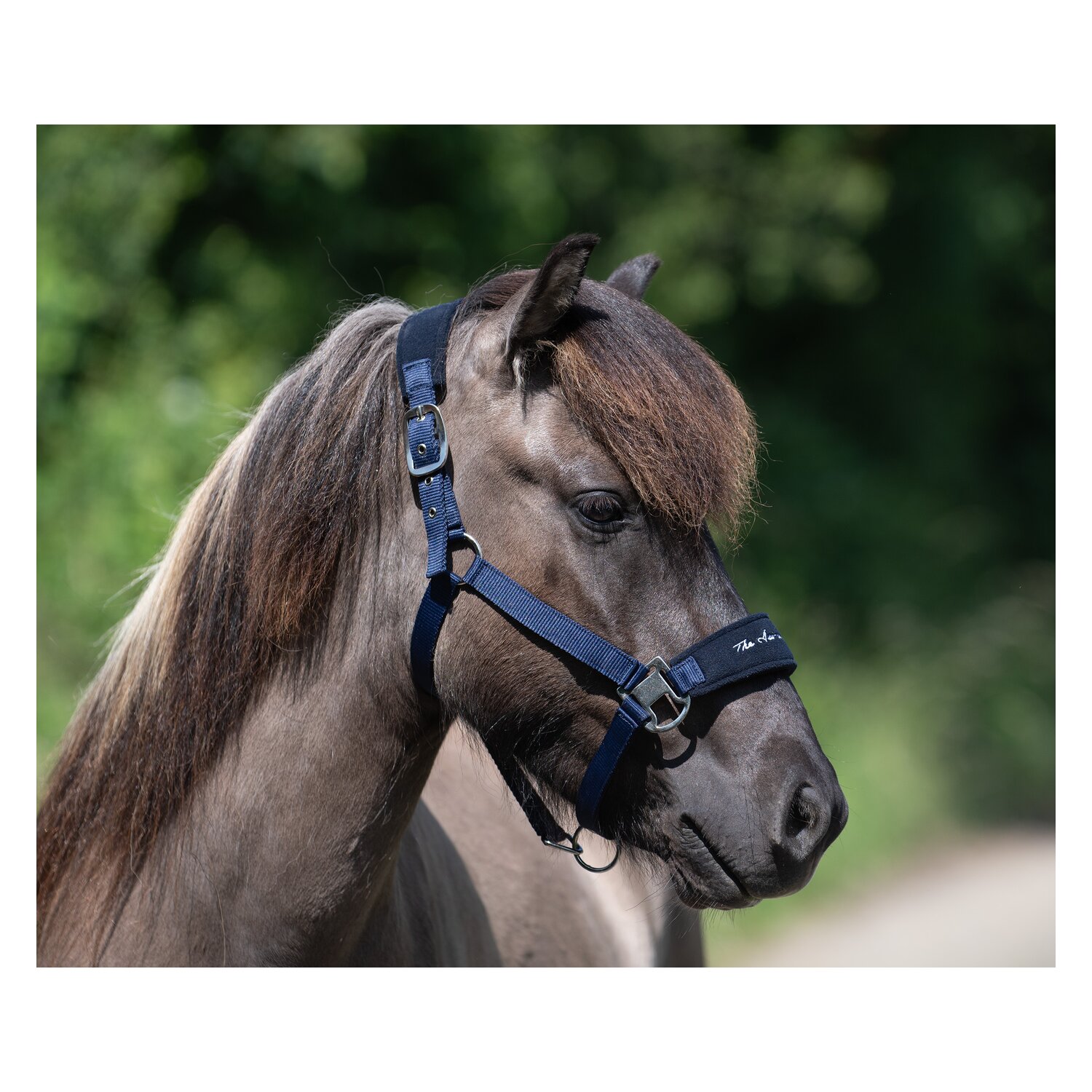 Horse-friends Islandhalfter Fleece Keflavik – Ansicht 2