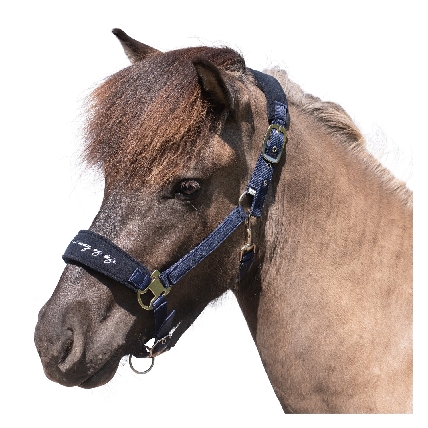 Horse-friends Islandhalfter Fleece Keflavik – Ansicht 1