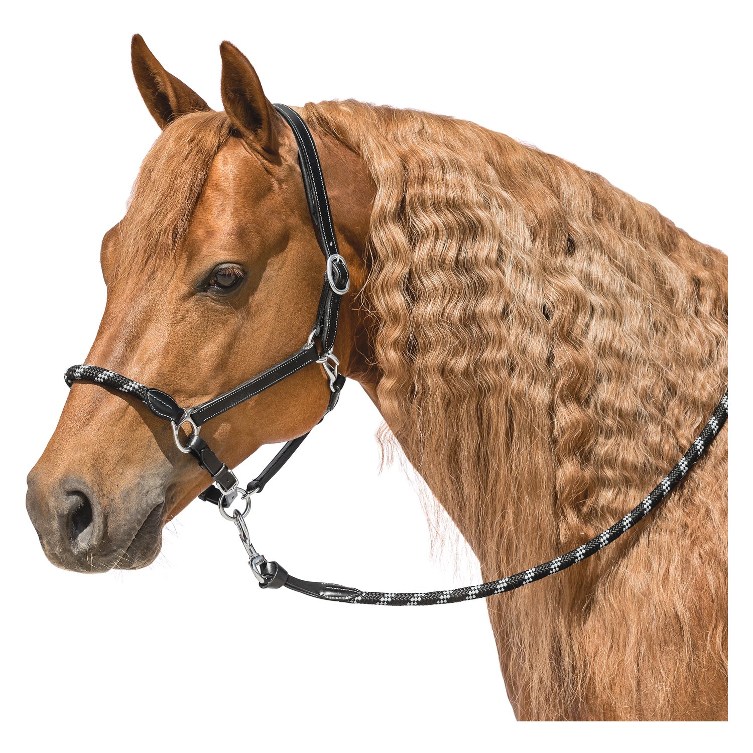 L-pro West Lederhalfter Combination – Ansicht 1