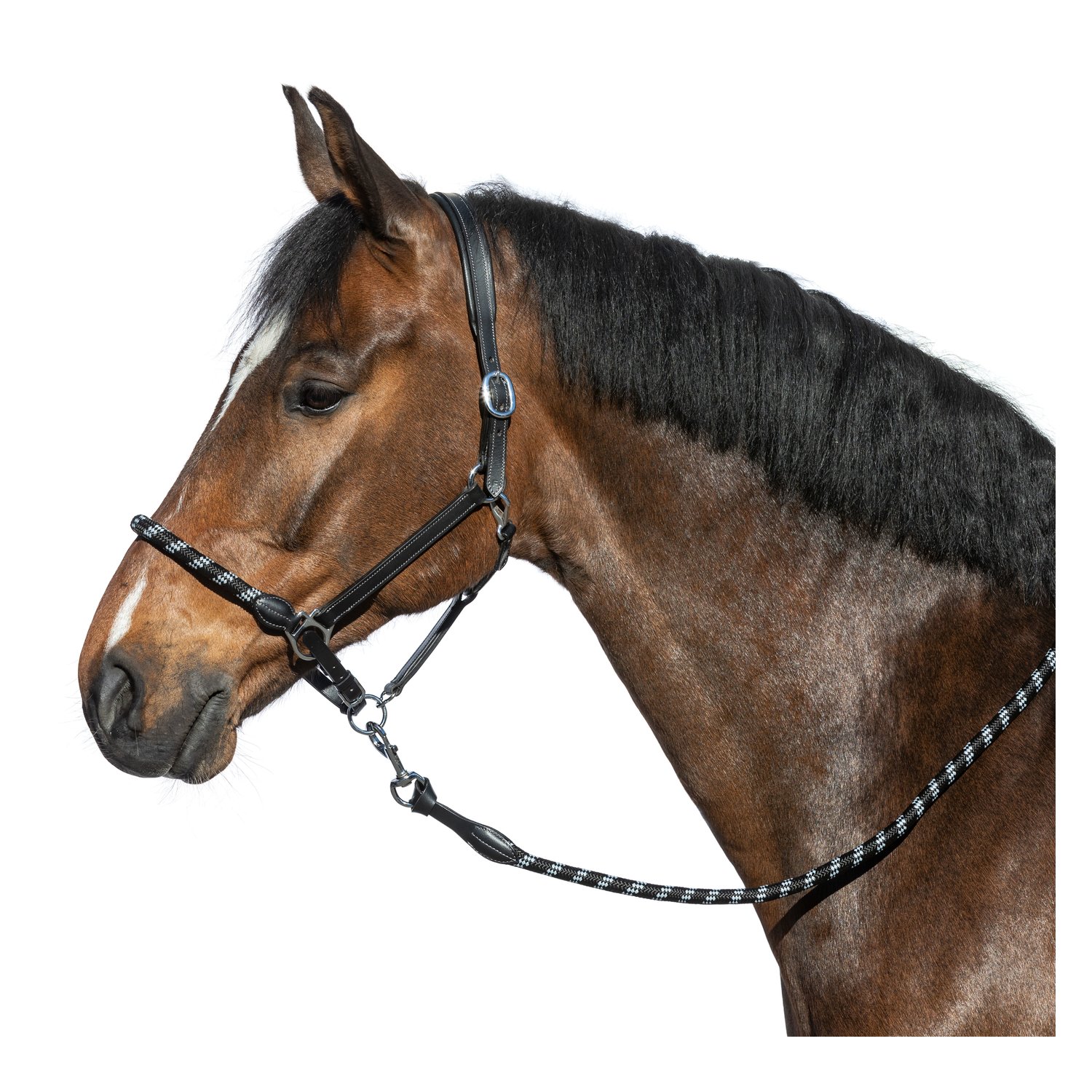 L-pro West Lederhalfter Combination – Ansicht 2