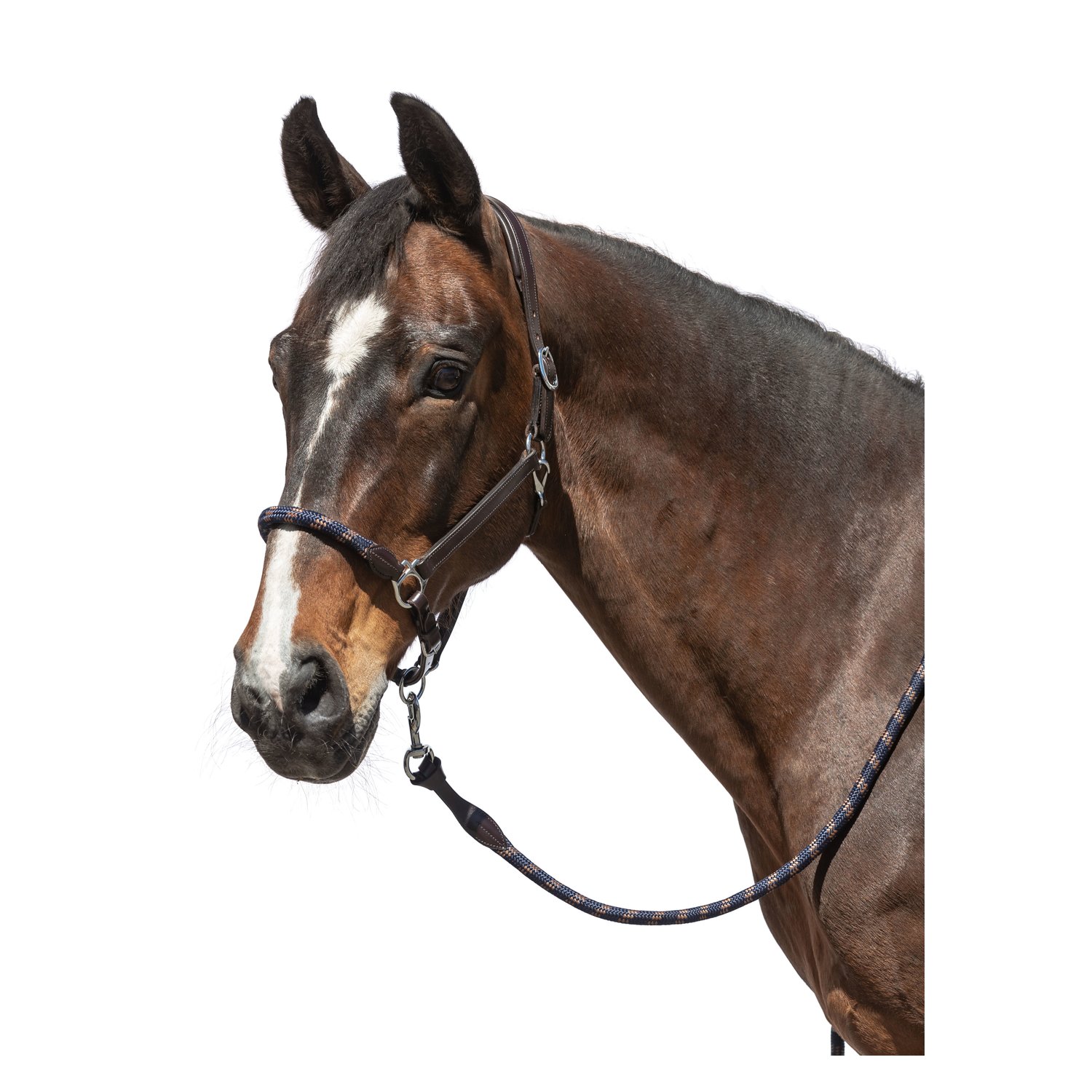 L-pro West Lederhalfter Combination – Ansicht 2