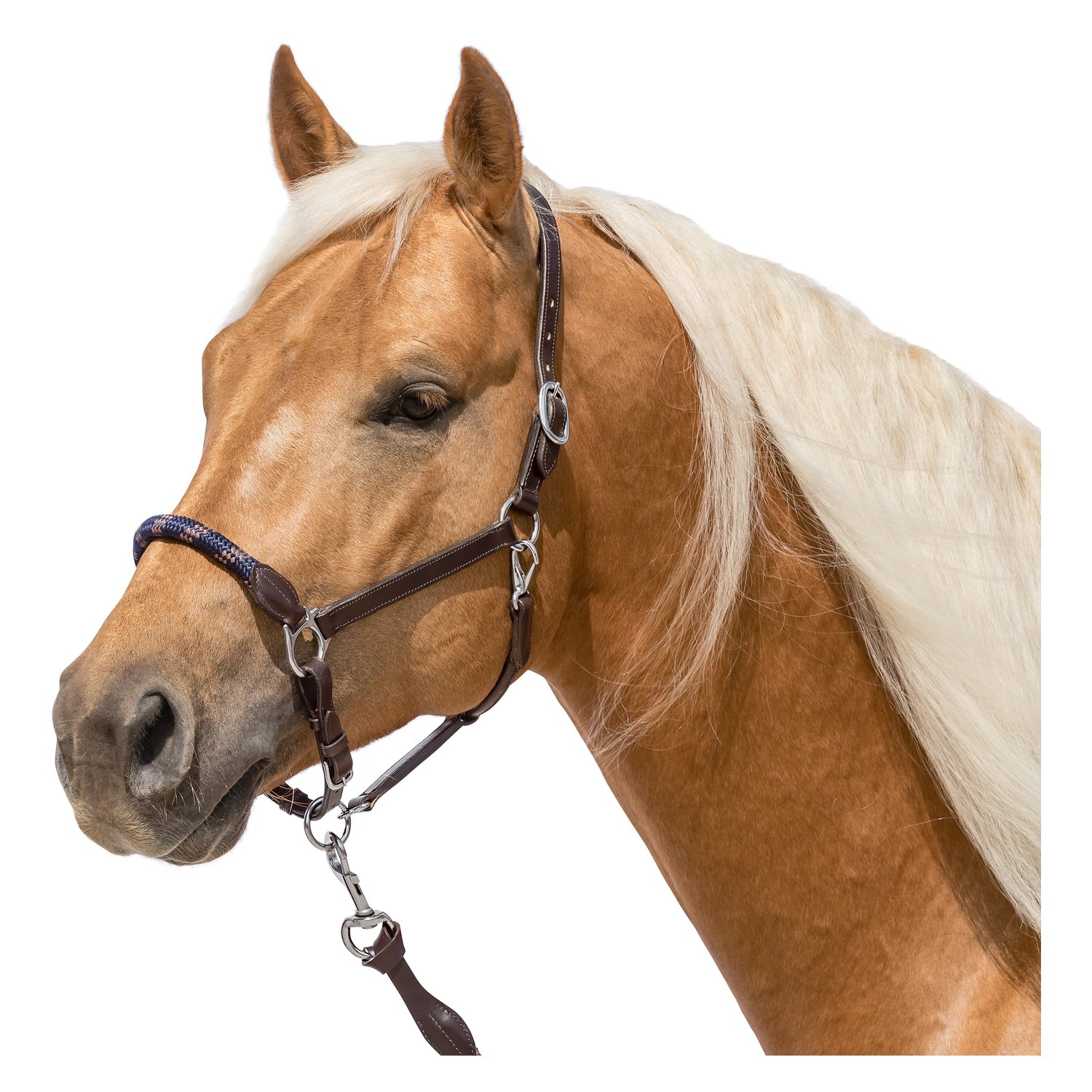 L-pro West Lederhalfter Combination – Ansicht 1