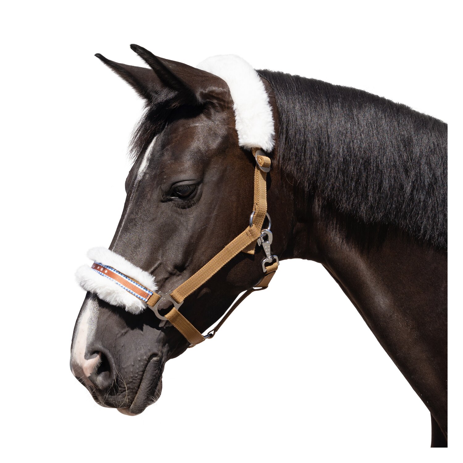 Horse-friends Halfter Herzilein – Ansicht 1