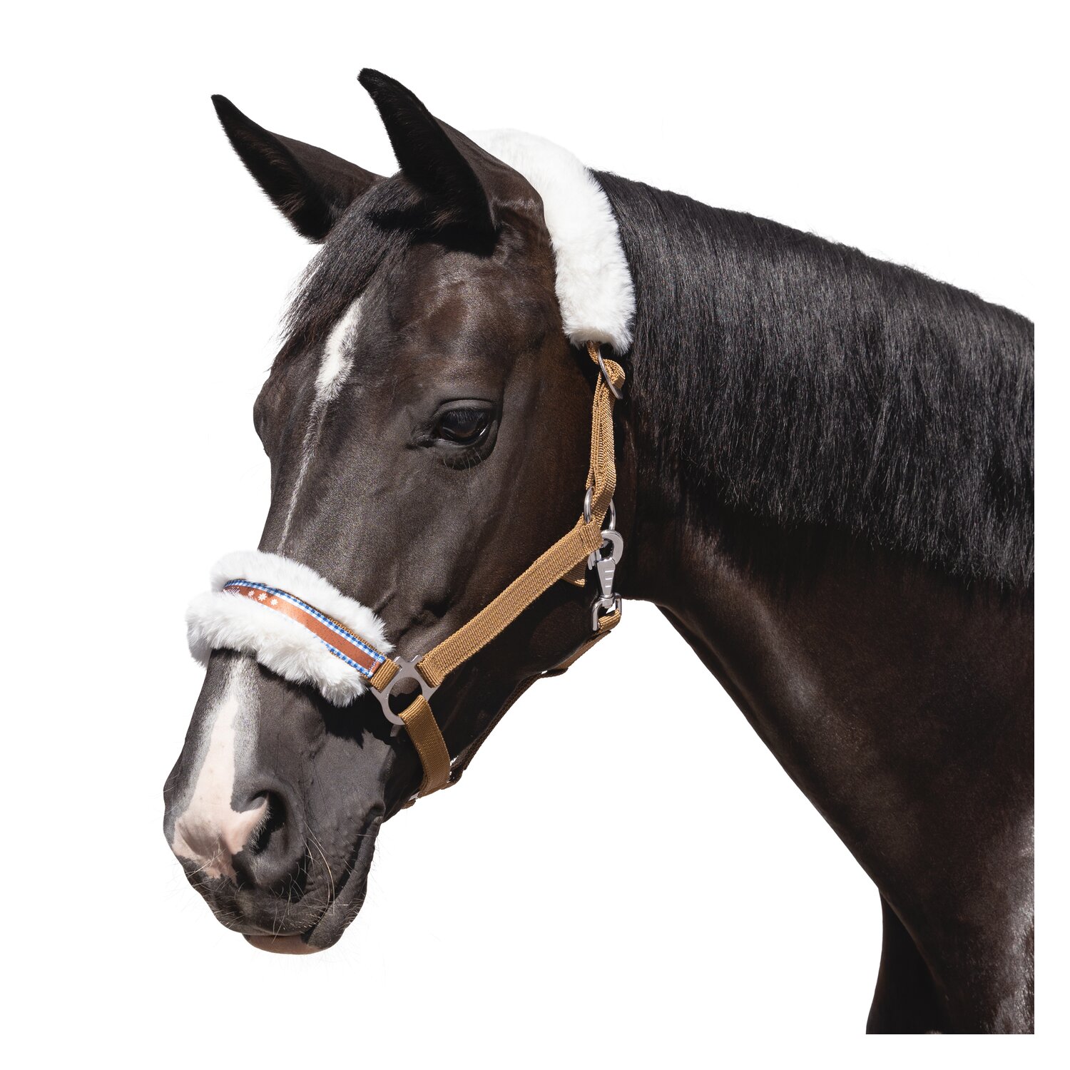 Horse-friends Halfter Herzilein – Ansicht 2