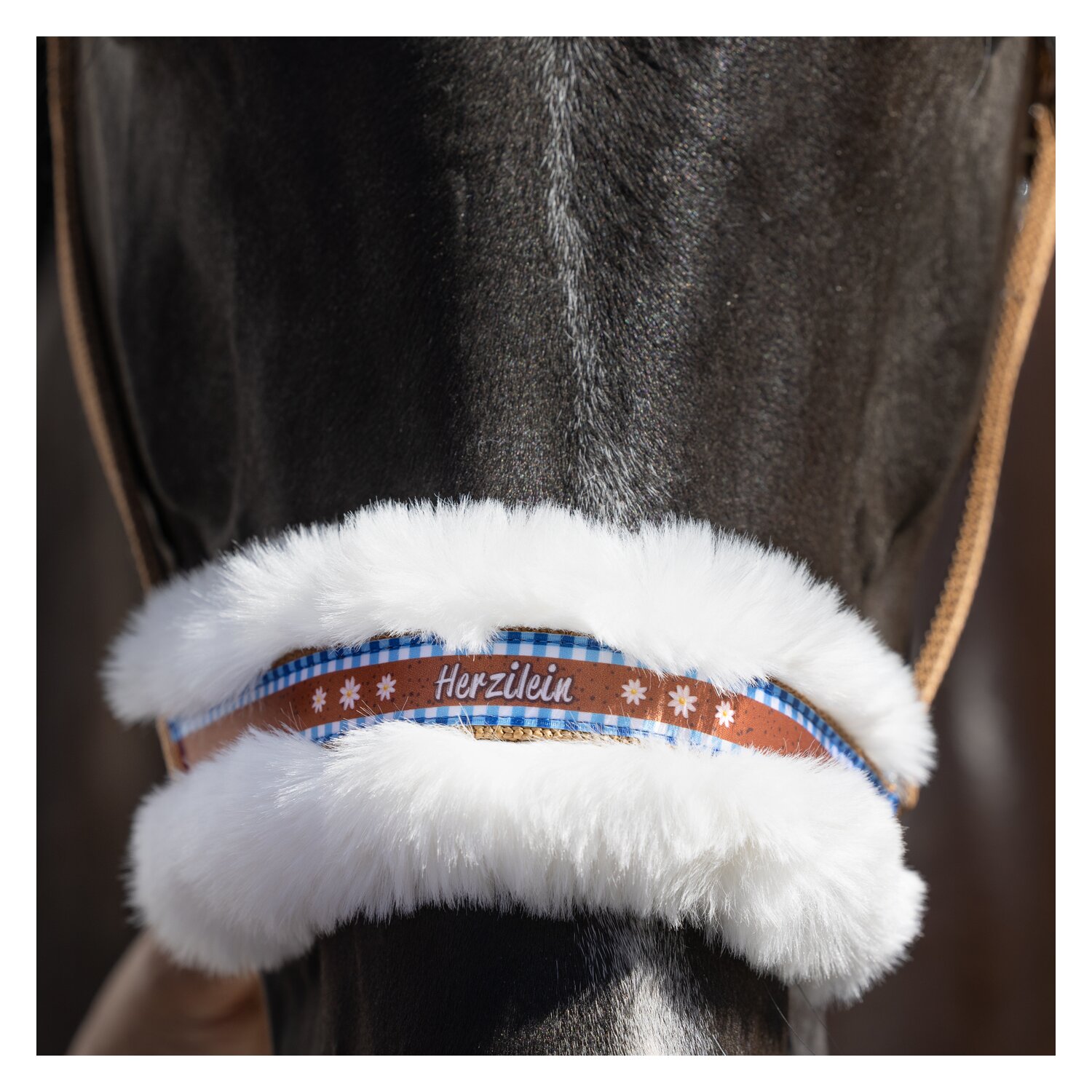 Horse-friends Halfter Herzilein – Ansicht 3