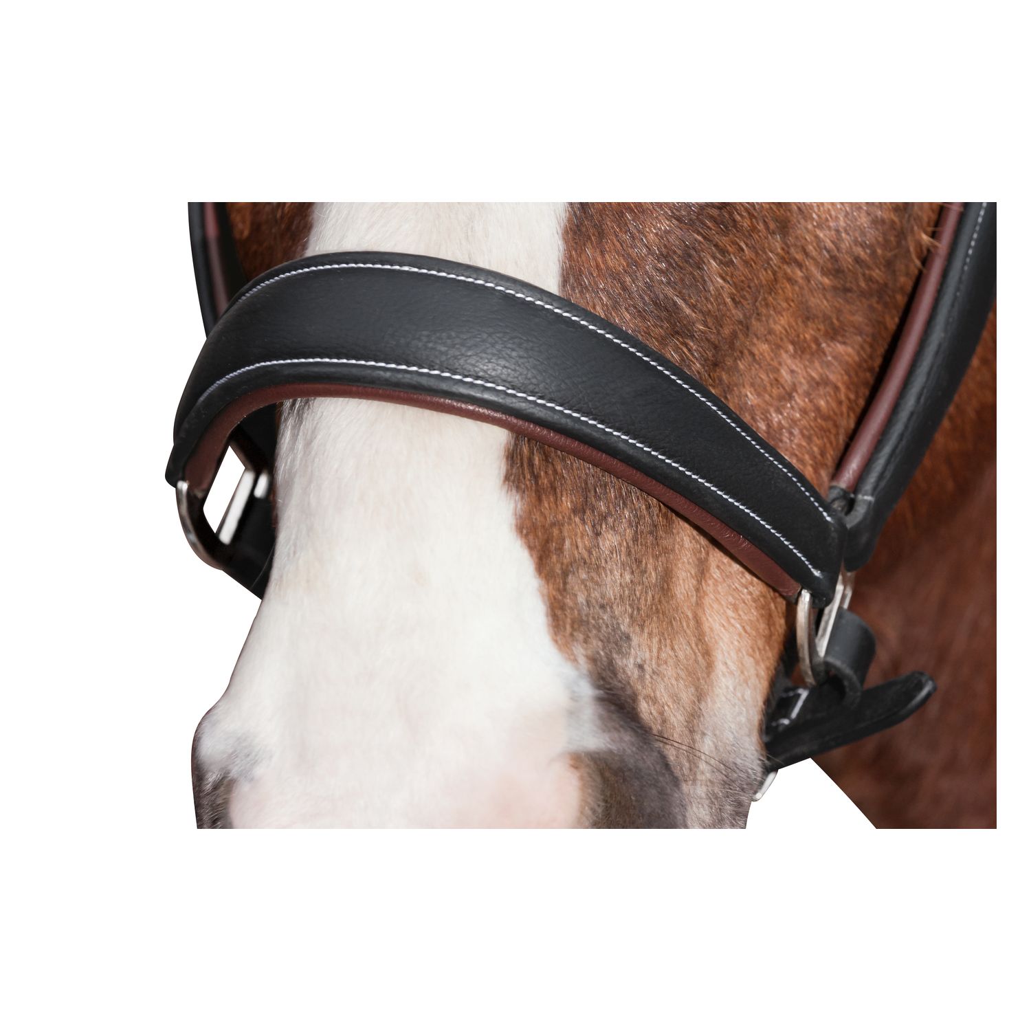 Loesdau Soft-Lederhalfter Toronto – Ansicht 2