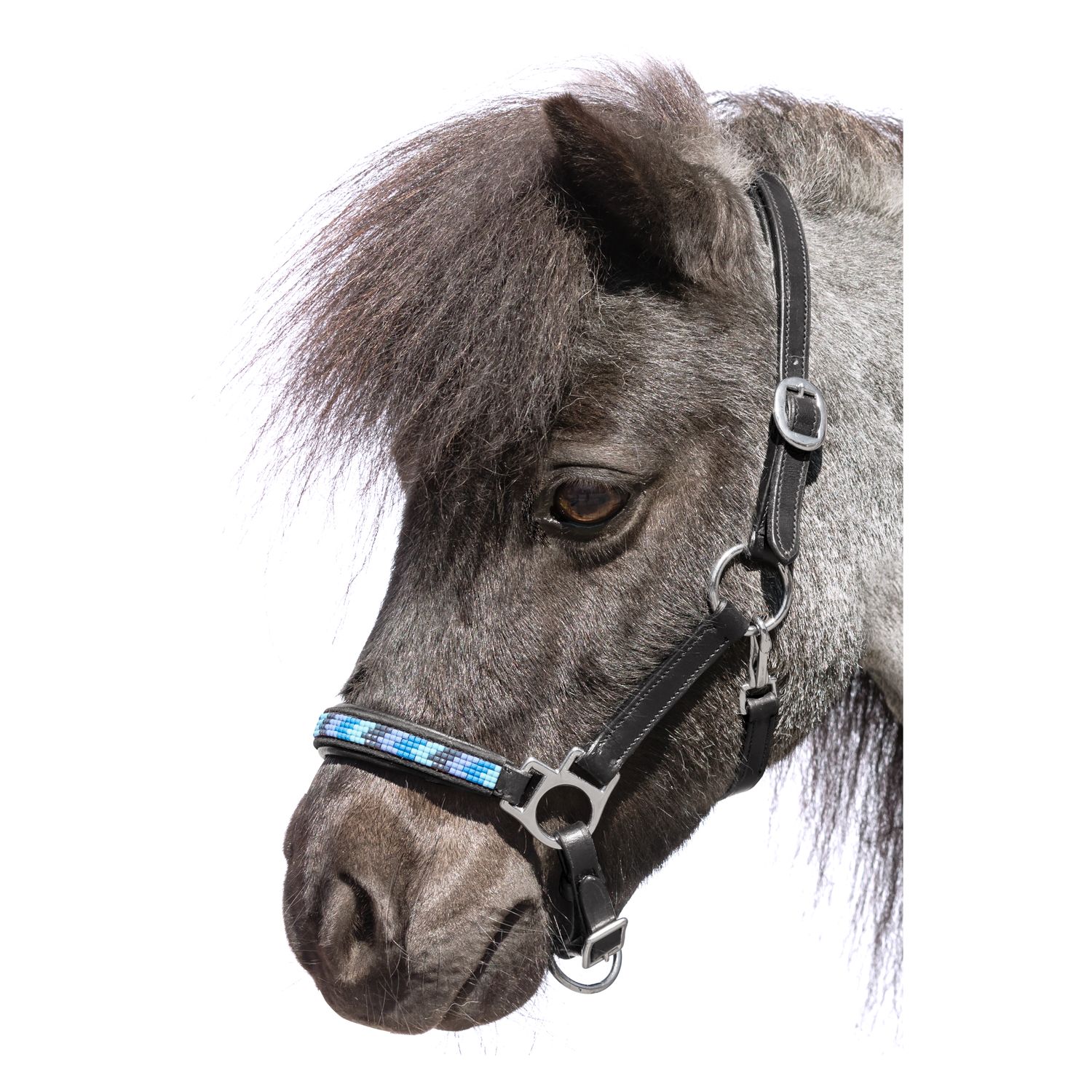 Loesdau Lederstallhalfter – Ansicht 1