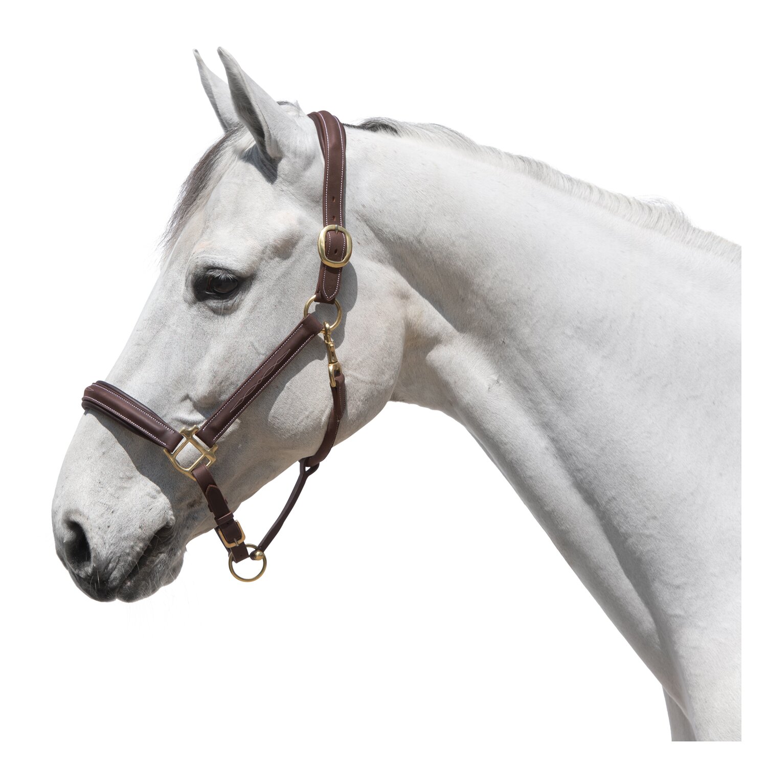 Loesdau Lederhalfter Boston &ndash; Ansicht 2