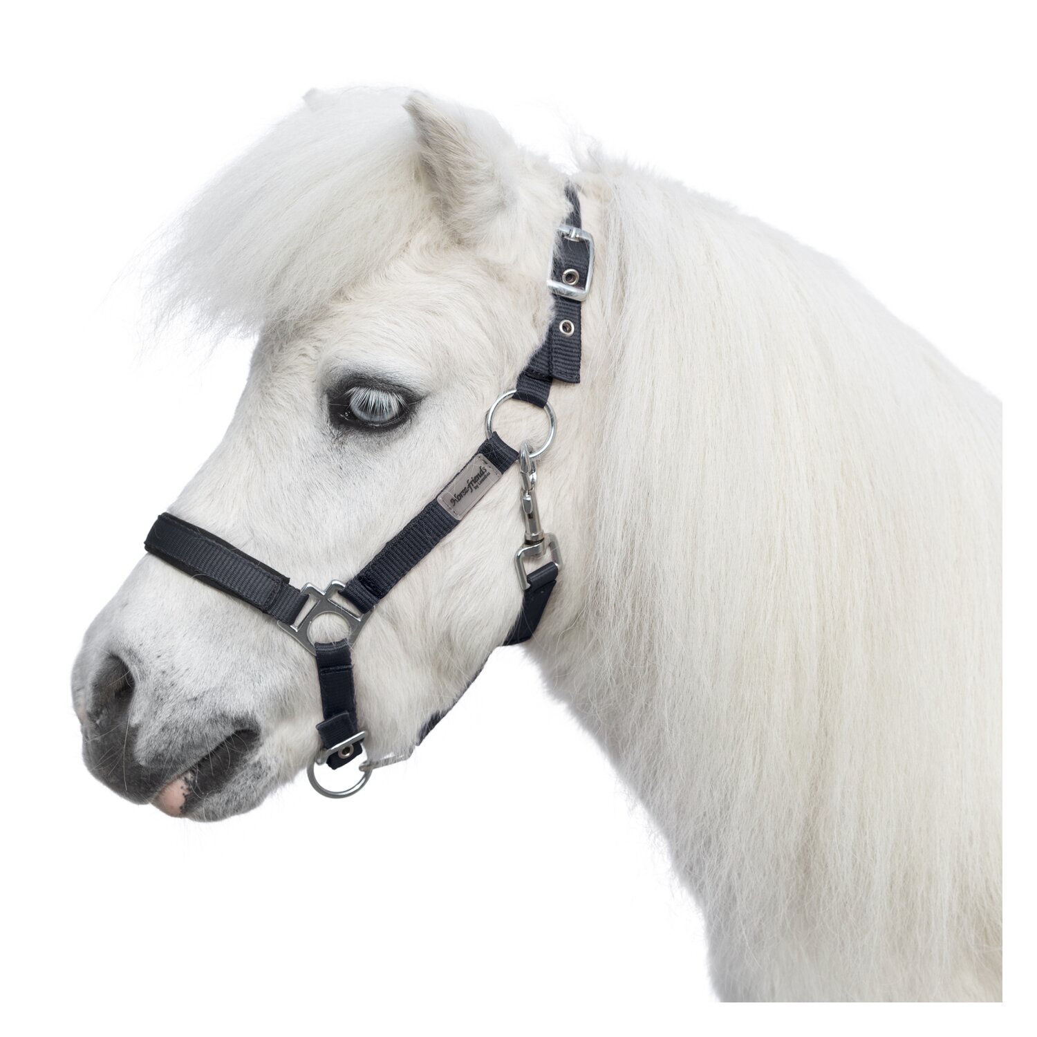 Horse-friends Halfter – Ansicht 1