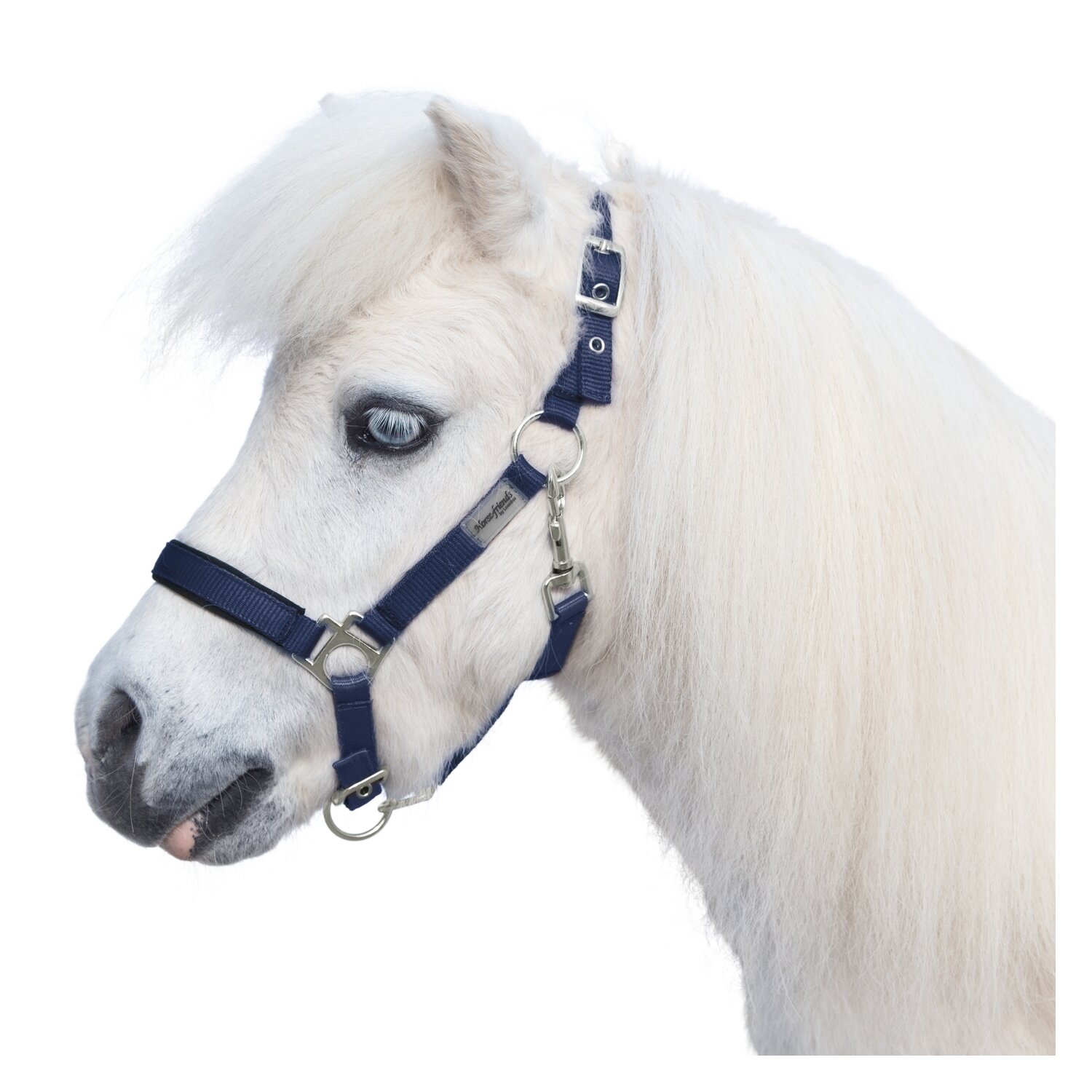 Horse-friends Halfter – Ansicht 1