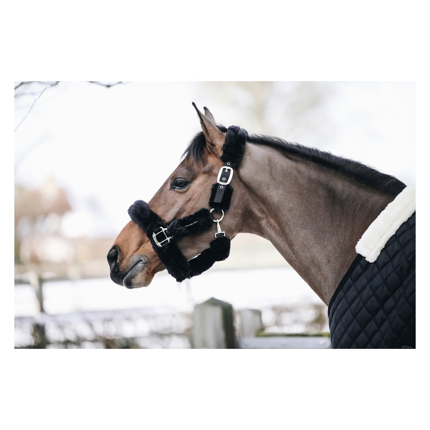 KENTUCKY Lammfell-Transport-Halfter – Ansicht 2