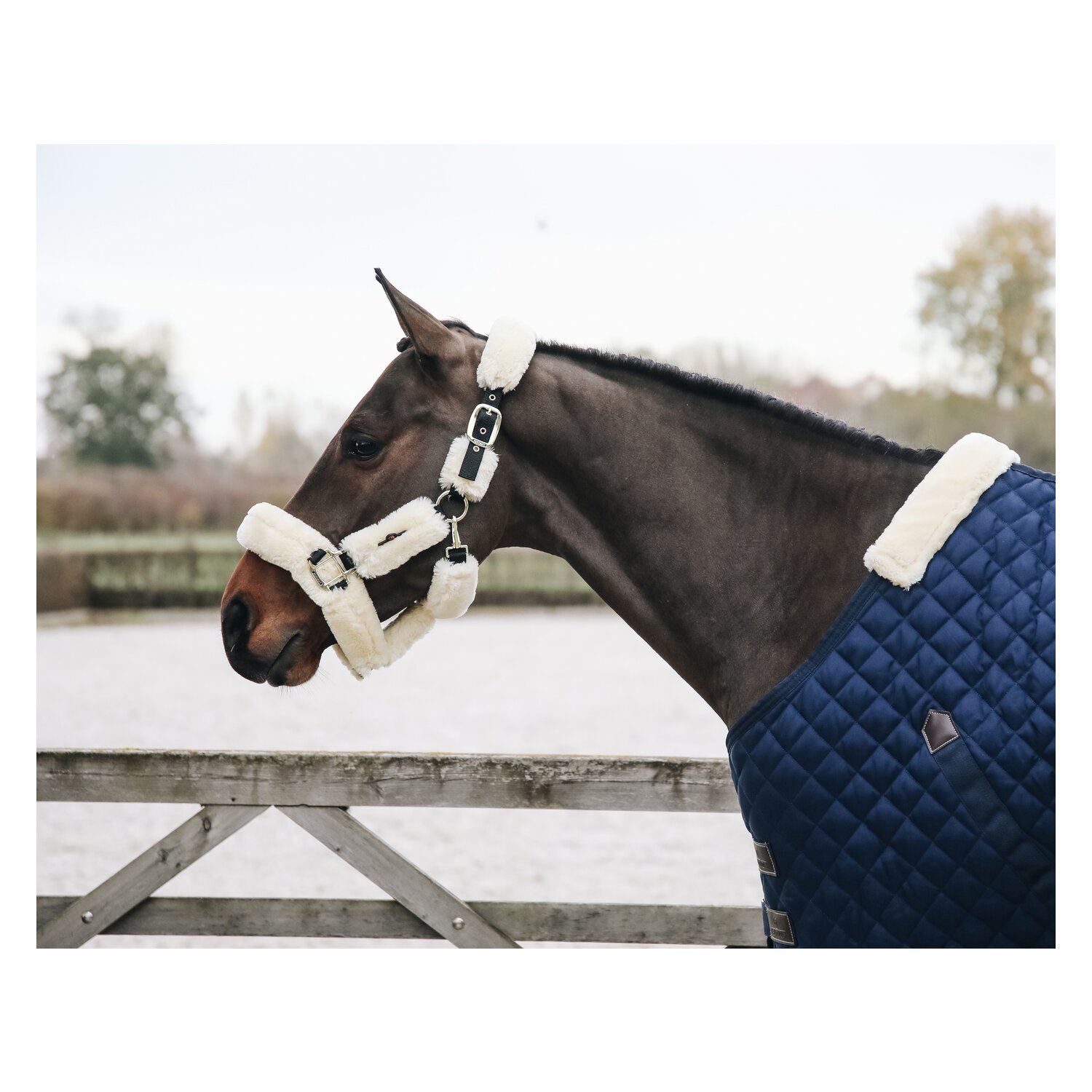 KENTUCKY Lammfell-Transport-Halfter – Ansicht 3