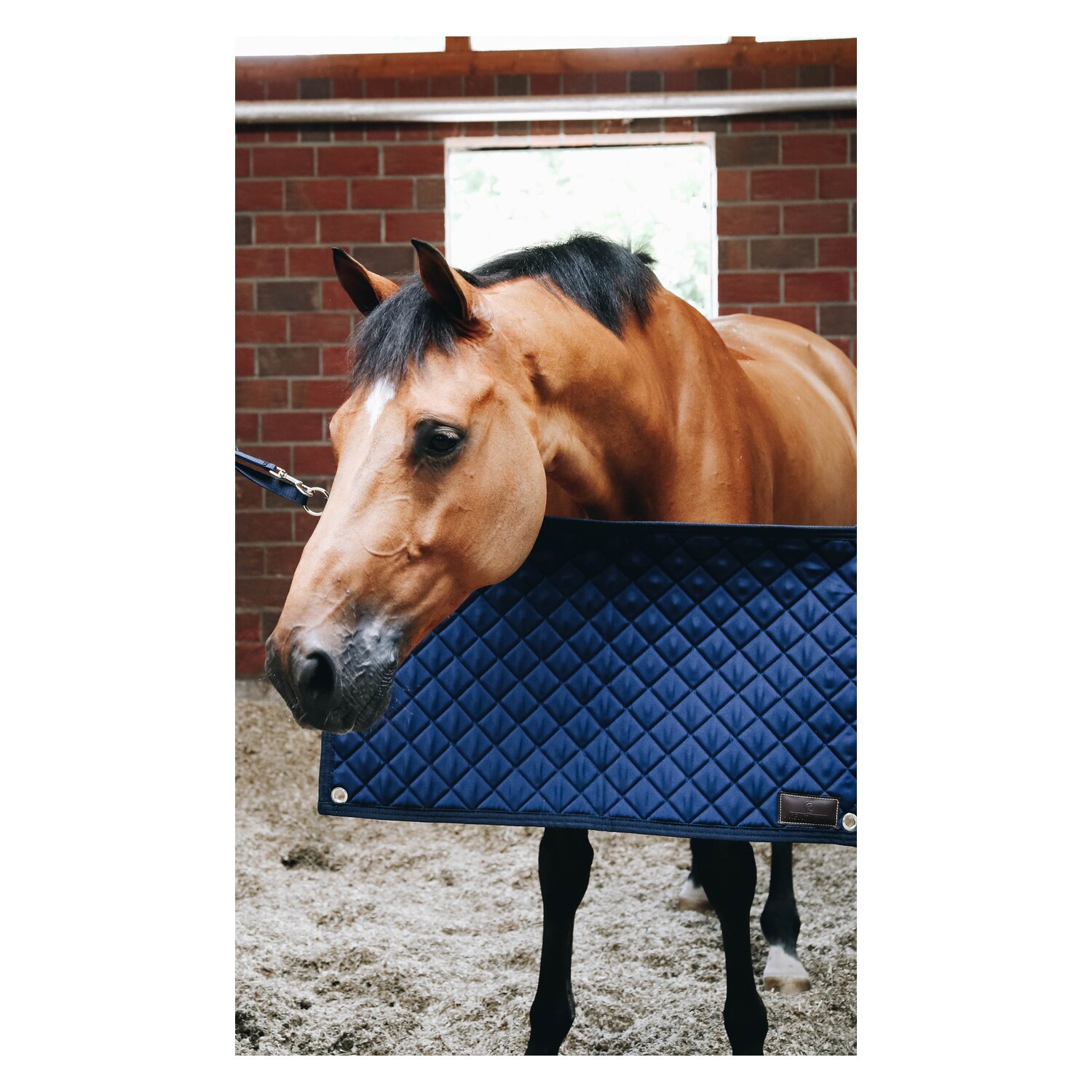 KENTUCKY Boxentürvorhang – Ansicht 2
