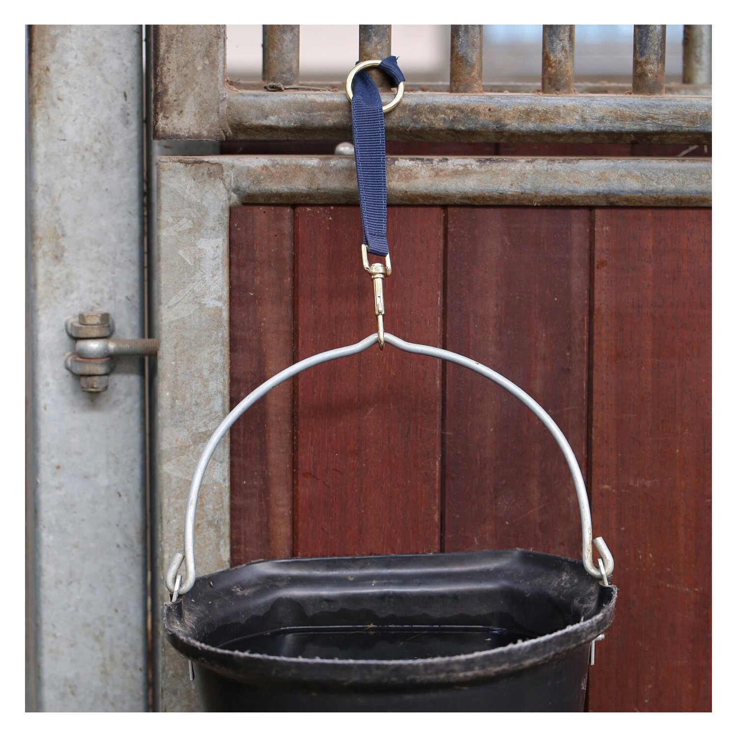 KENTUCKY Nylon Halter Hook & Ring – Ansicht 2