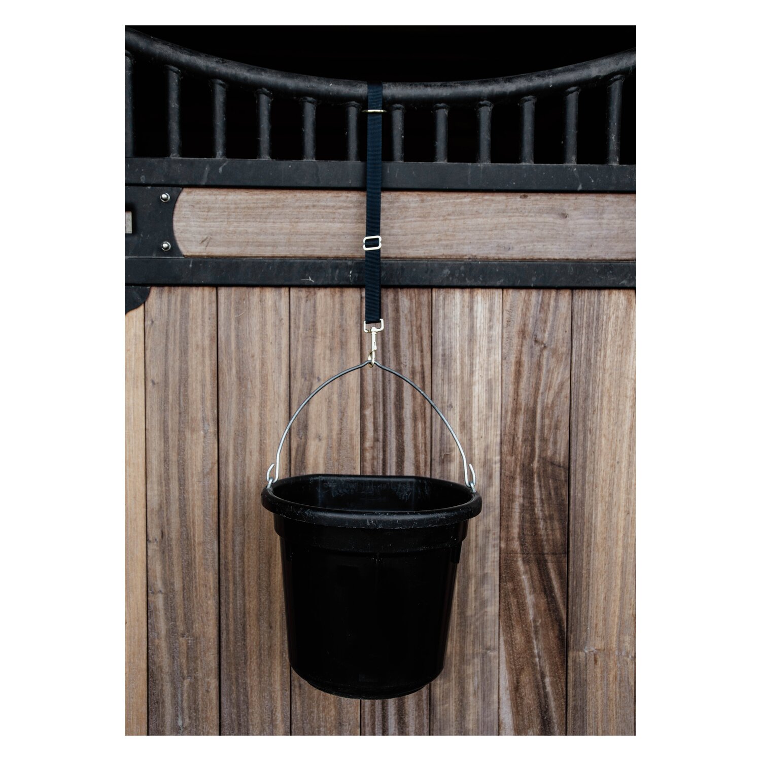 KENTUCKY Nylon Halter Hook & Ring – Ansicht 2