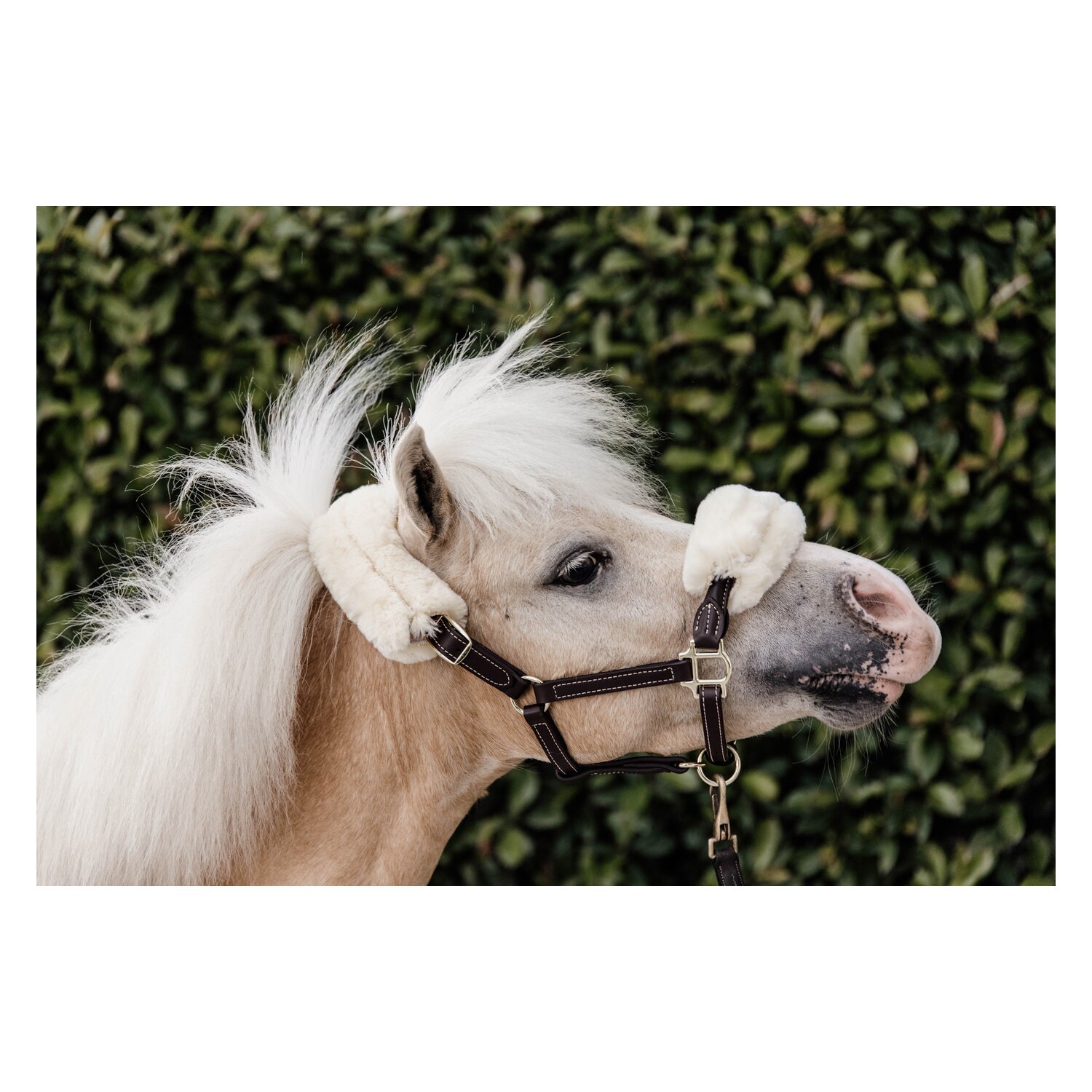 KENTUCKY Lederhalfter mit Lammfell – Ansicht 2