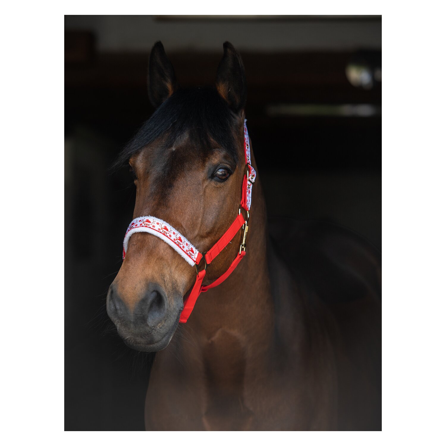 Loesdau Halfter Happy X-Mas &ndash; Ansicht 1