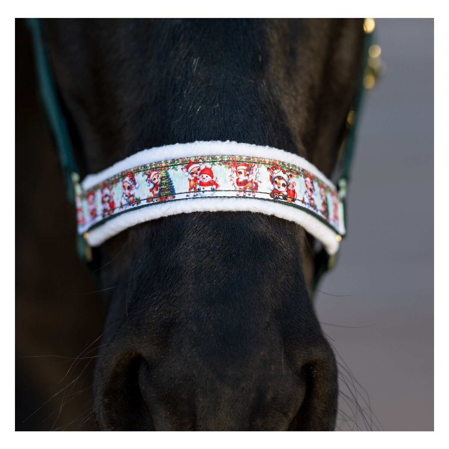 Loesdau Halfter Happy X-Mas – Ansicht 4