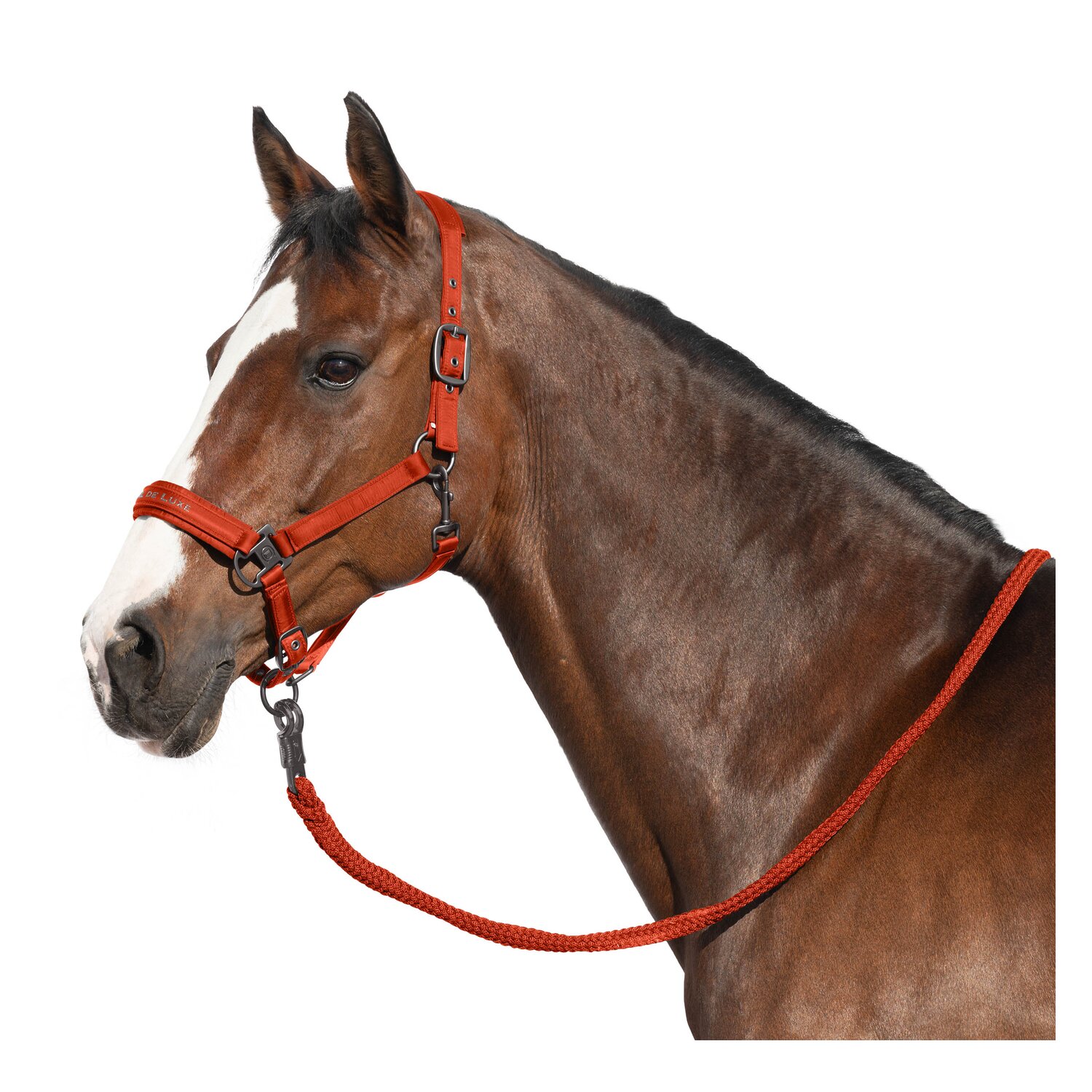 Cheval de Luxe Halfter Lyon &ndash; Ansicht 1