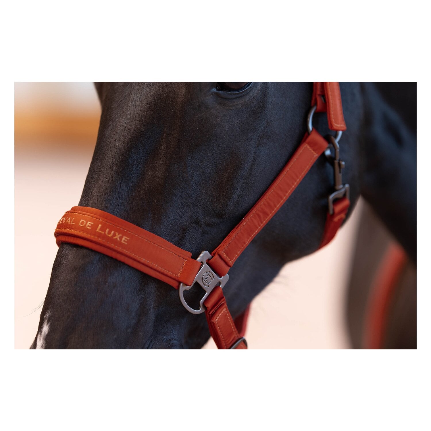 Cheval de Luxe Halfter Lyon &ndash; Ansicht 3