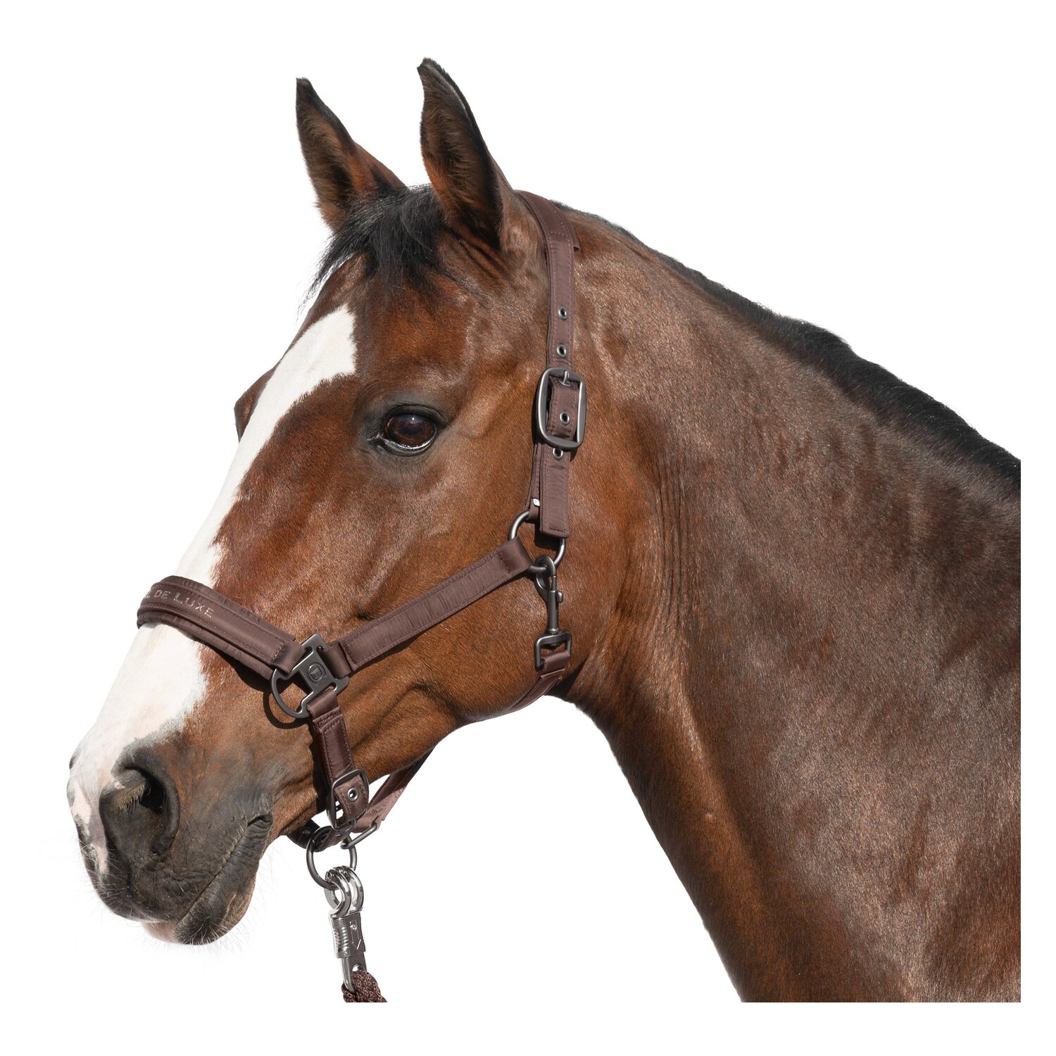 Cheval de Luxe Halfter Lyon – Ansicht 1