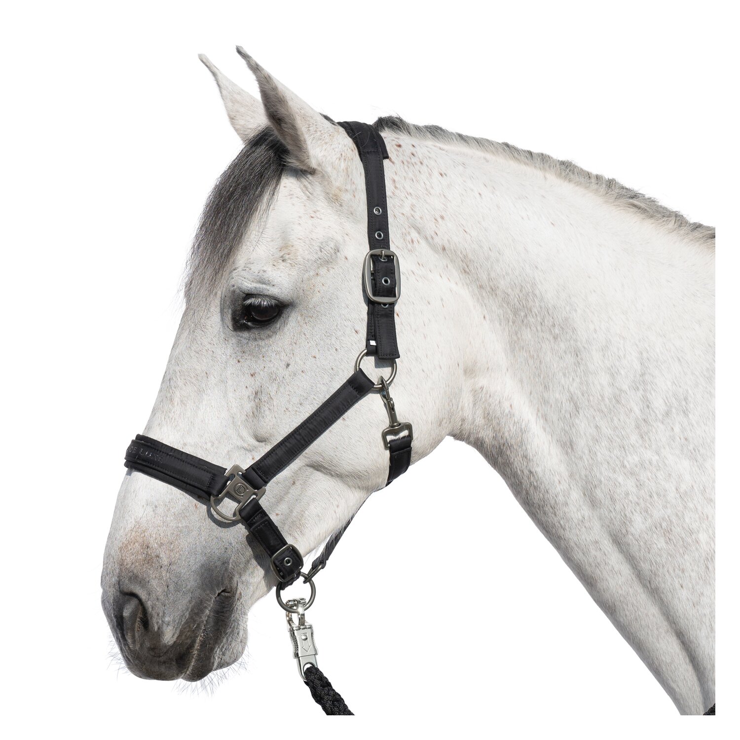 Cheval de Luxe Halfter Lyon – Ansicht 1