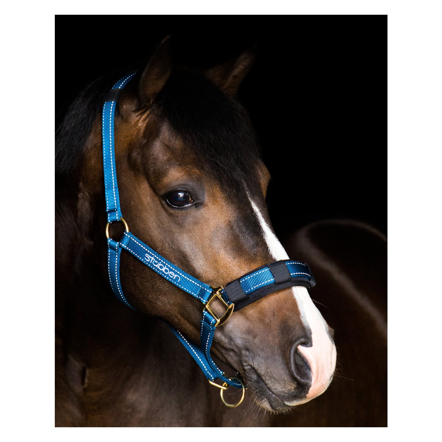 Stübben Stallhalfter – Ansicht 1