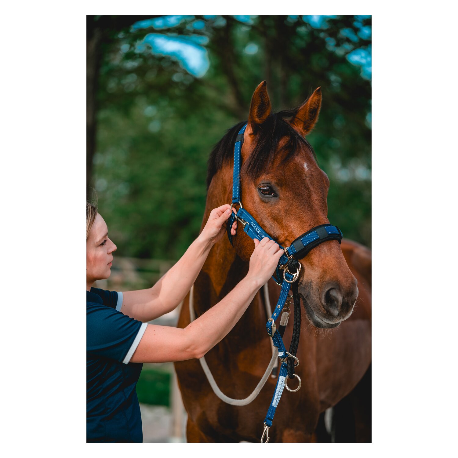 Stübben LK-Controller für Stallhalfter – Ansicht 4