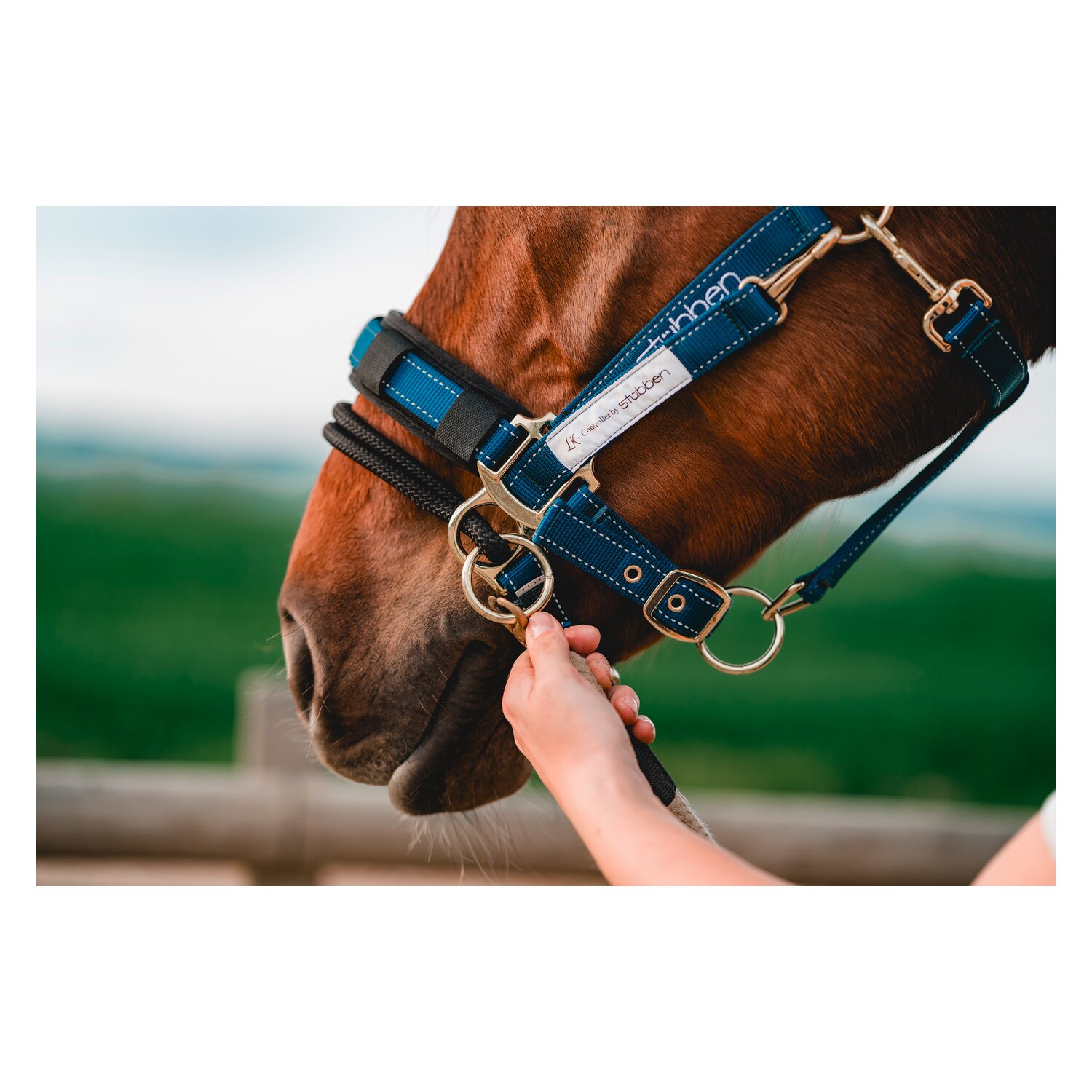 Stübben LK-Controller für Stallhalfter – Ansicht 5