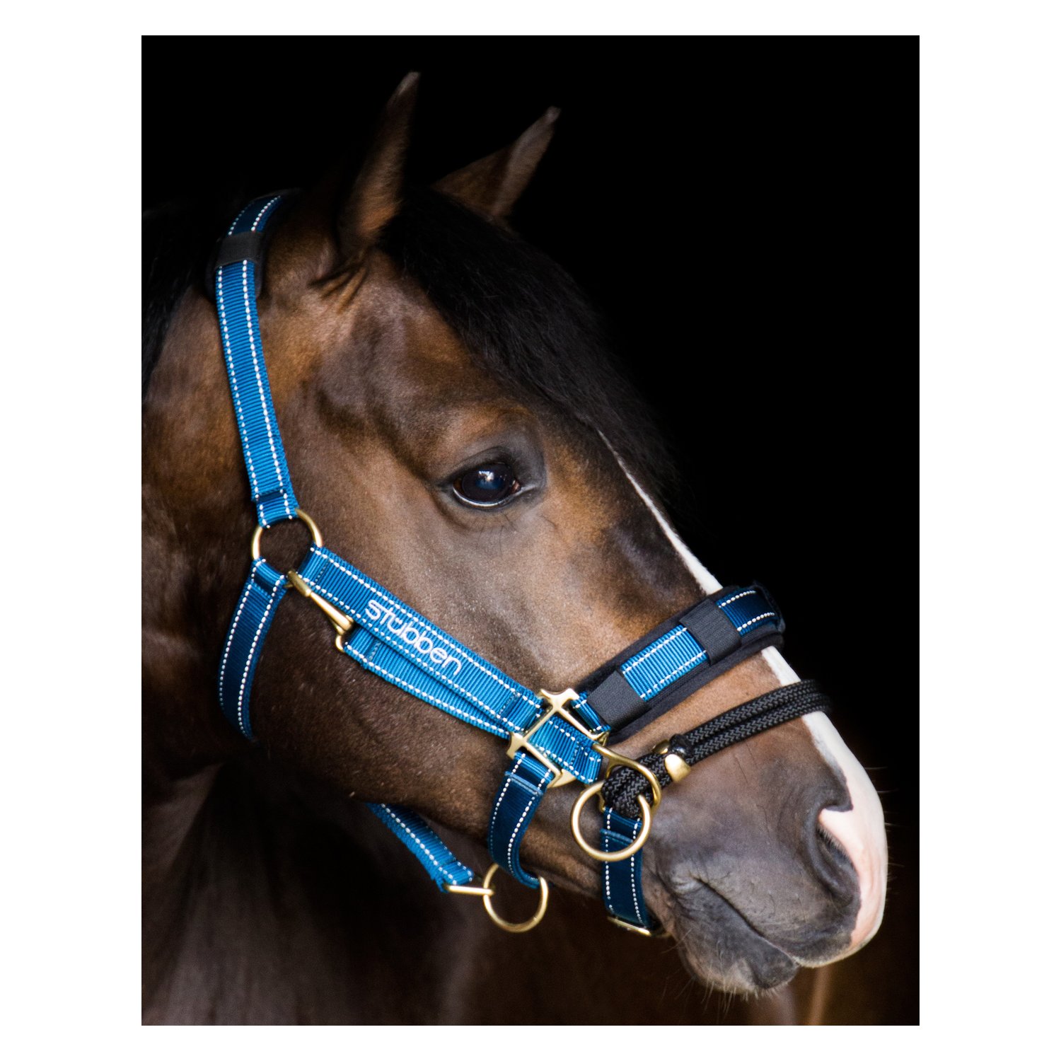 Stübben LK-Controller für Stallhalfter – Ansicht 2