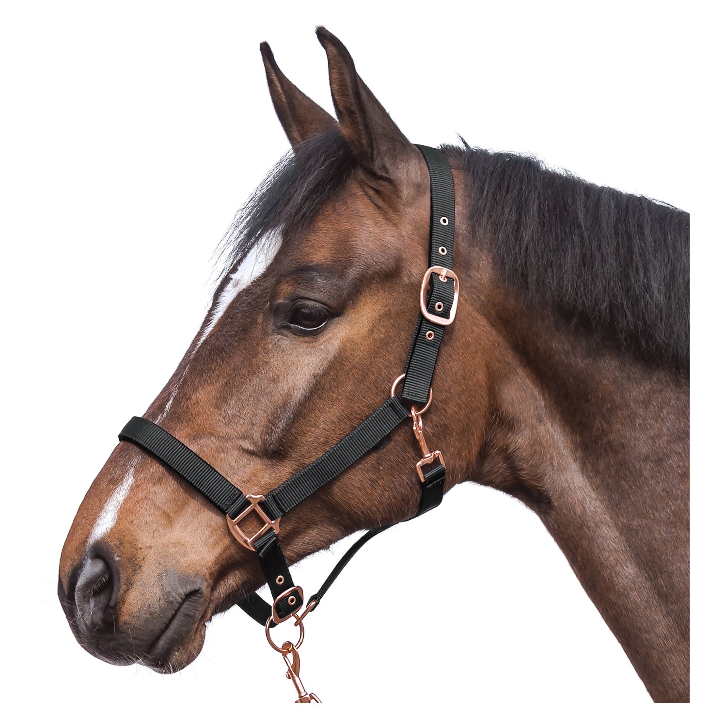 Horse-friends Halfter Lima – Ansicht 1