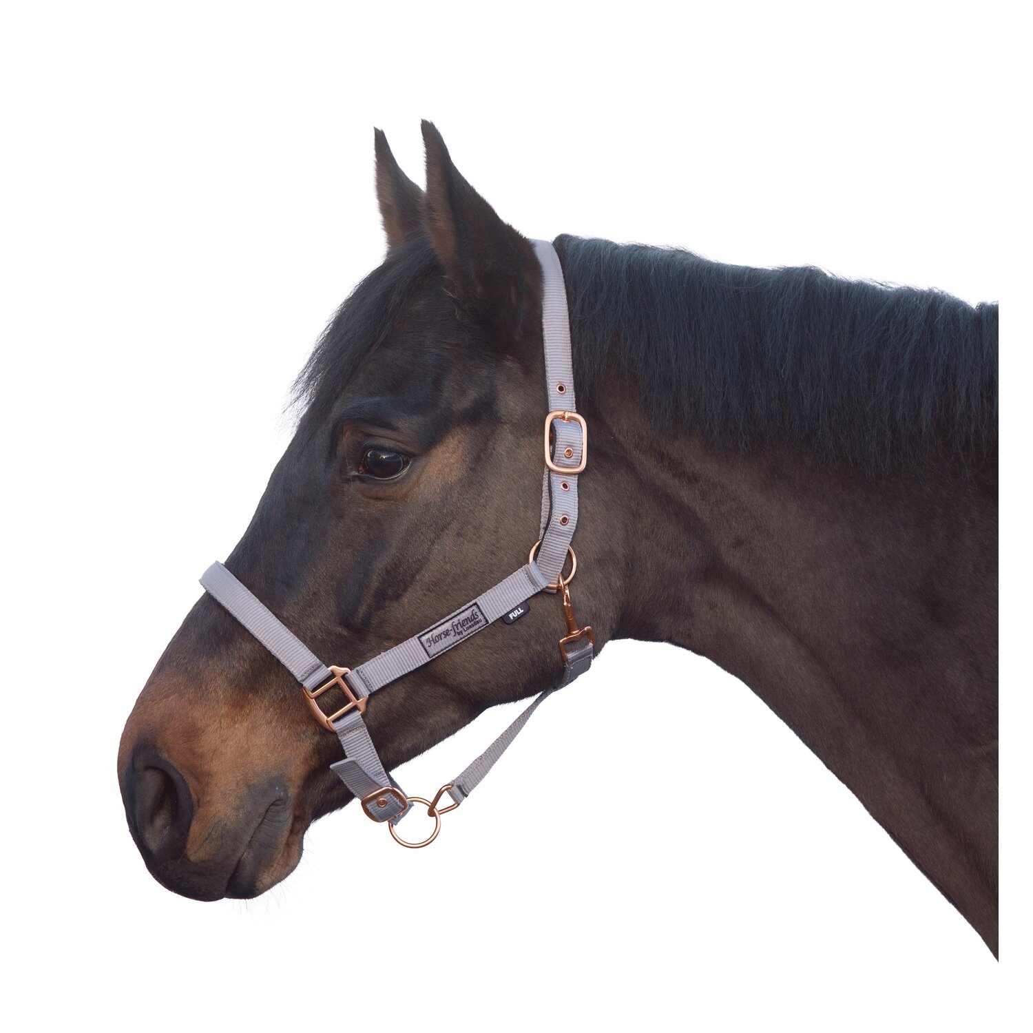 Horse-friends Halfter Lima – Ansicht 1