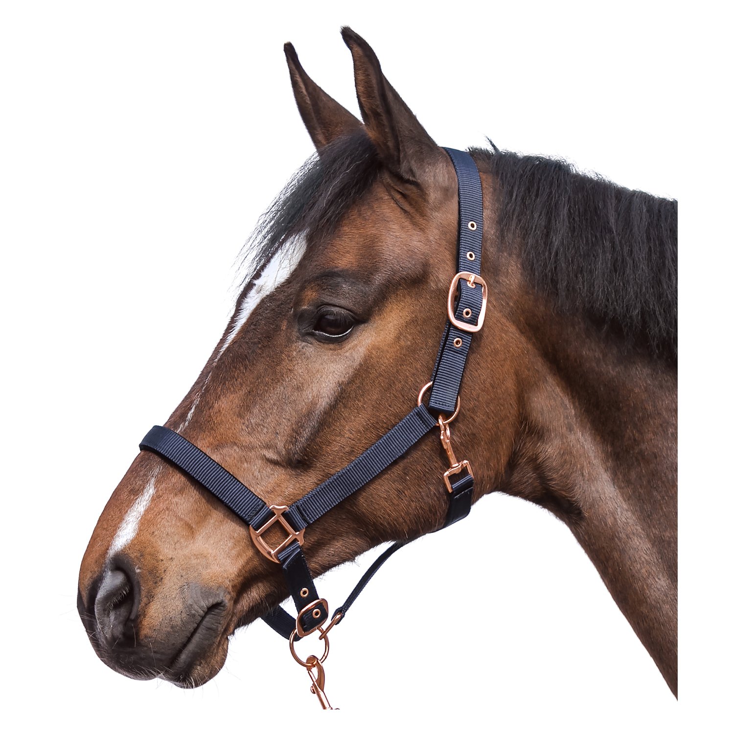 Horse-friends Halfter Lima – Ansicht 1