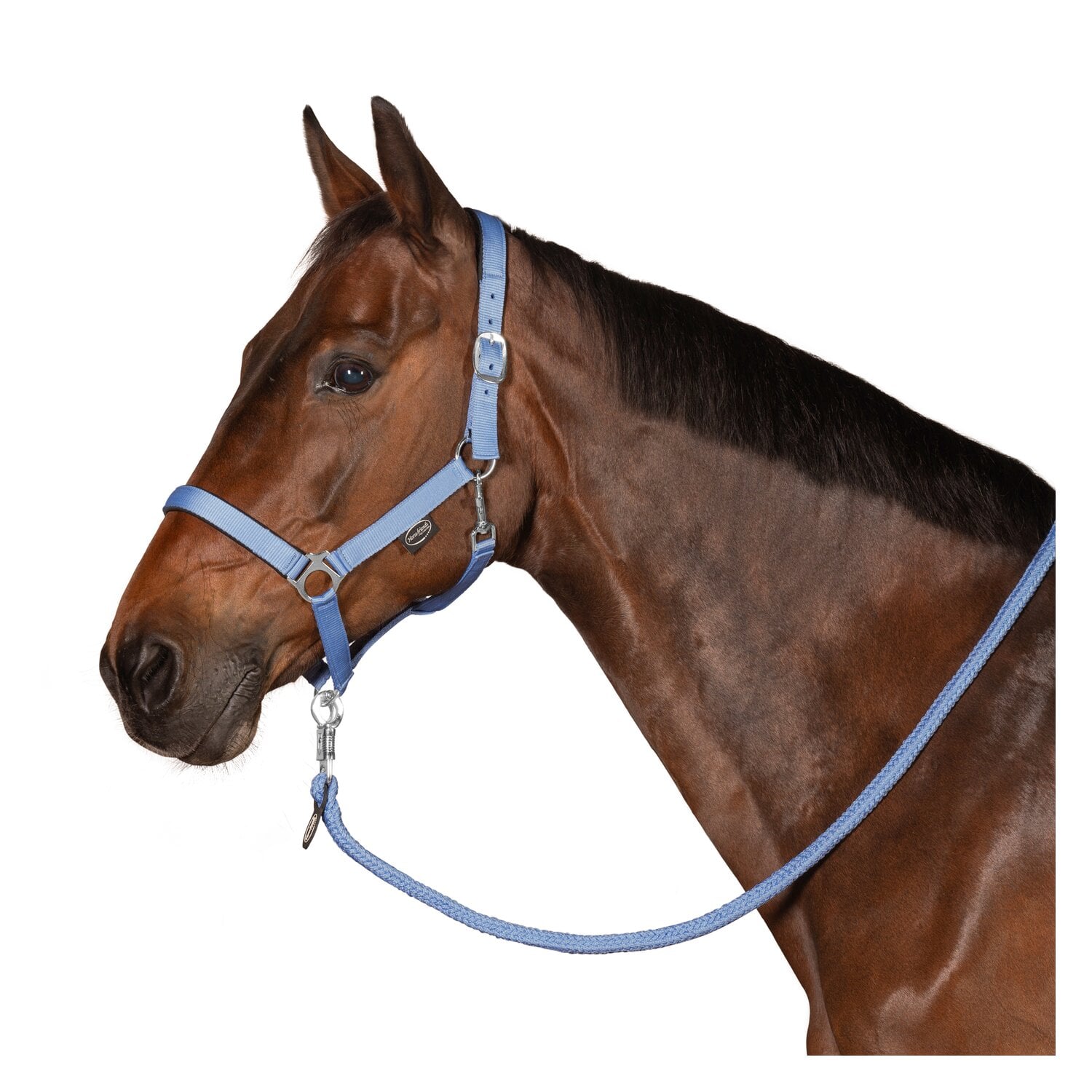 Horse-friends Webhalfter Pin Buckle &ndash; Ansicht 3