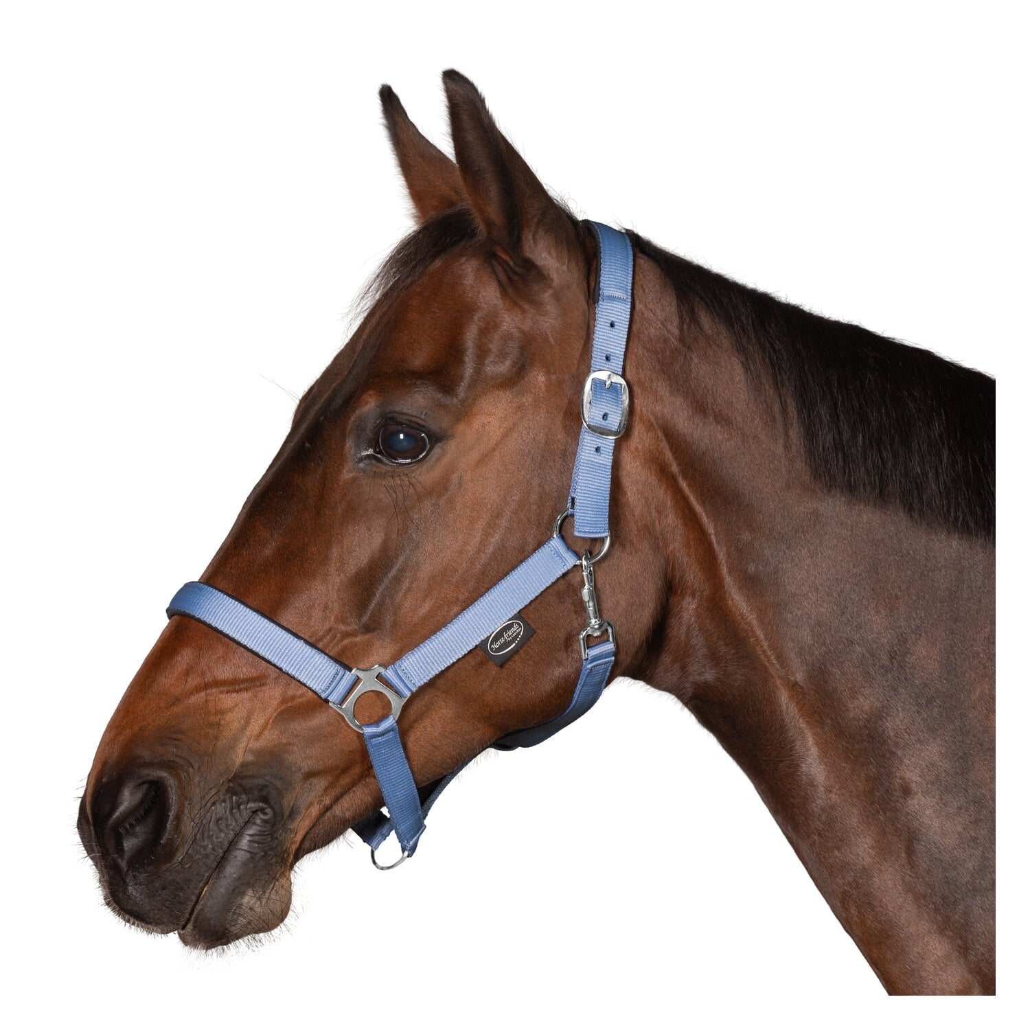 Horse-friends Webhalfter Pin Buckle &ndash; Ansicht 2