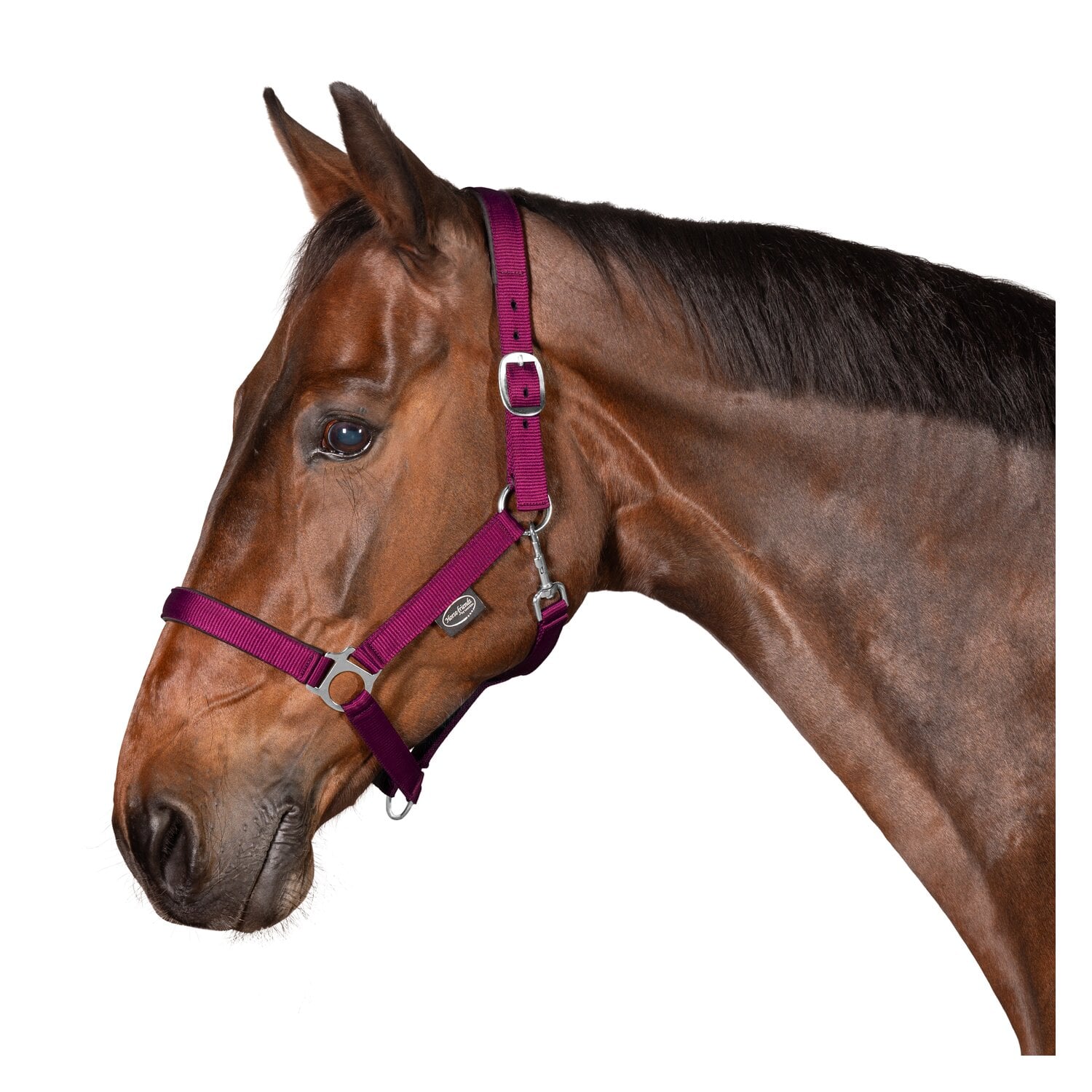 Horse-friends Webhalfter Pin Buckle &ndash; Ansicht 2