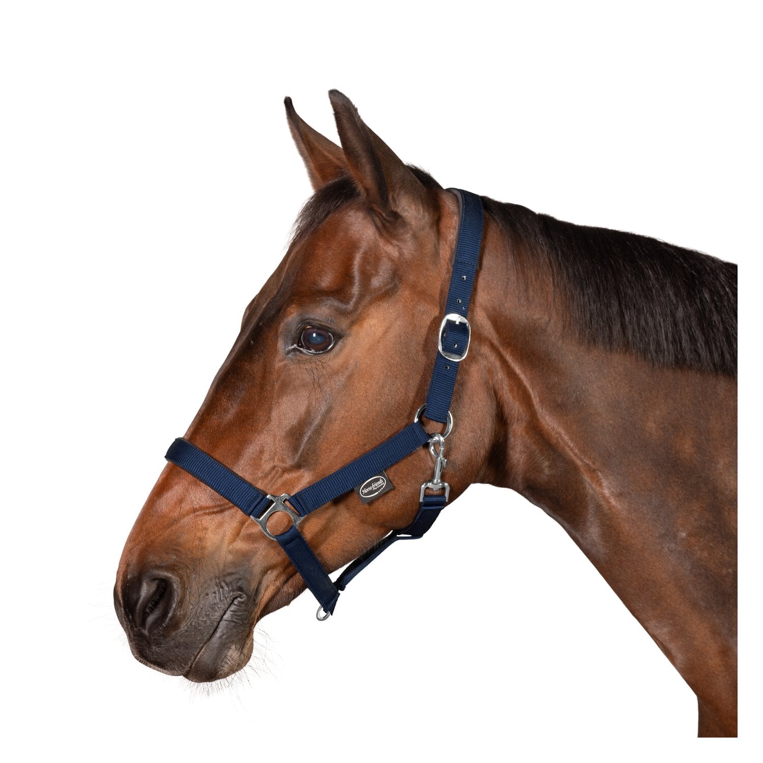 Horse-friends Webhalfter Pin Buckle &ndash; Ansicht 2