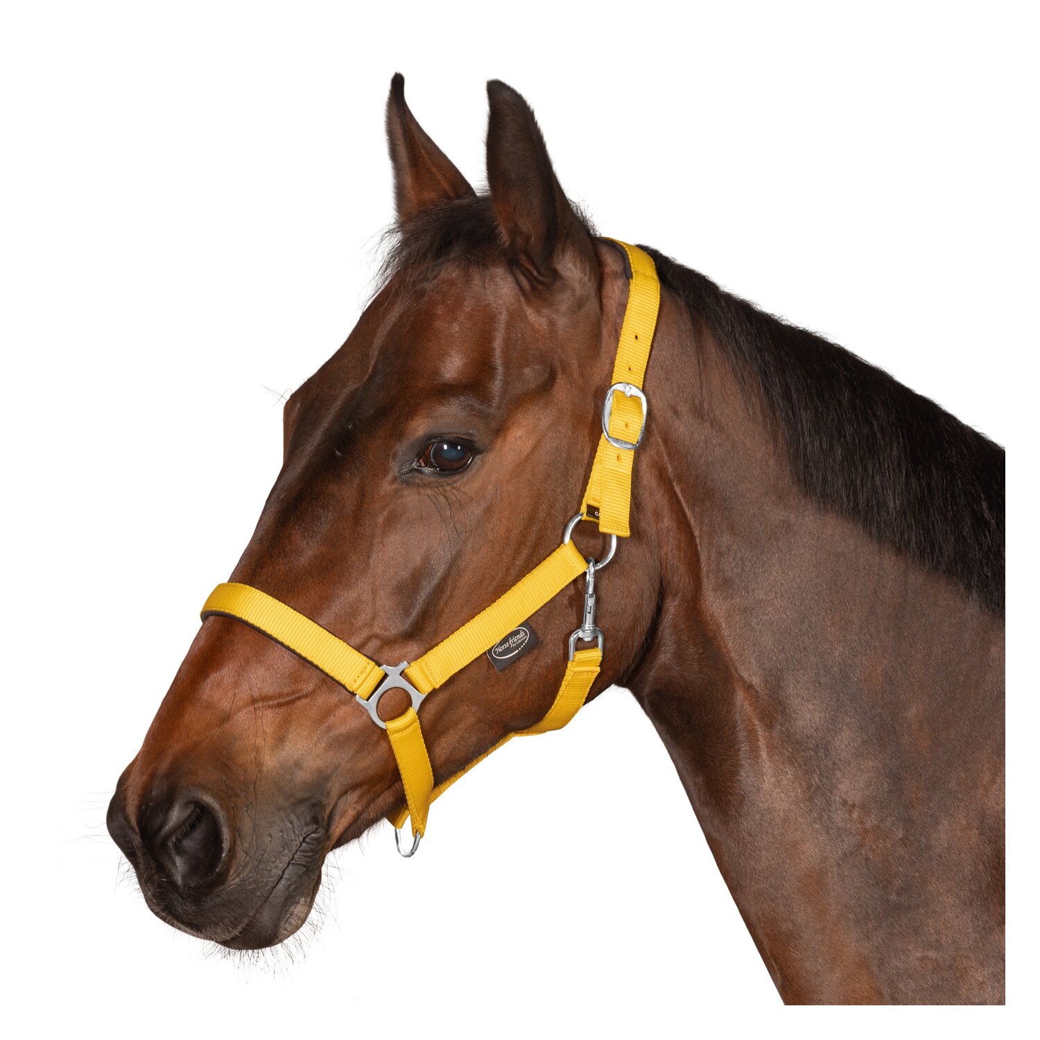 Horse-friends Webhalfter Pin Buckle &ndash; Ansicht 2