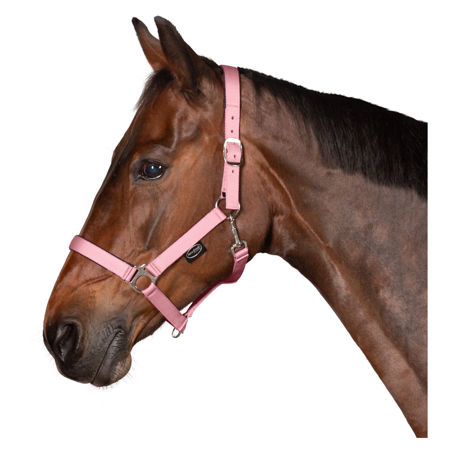 Horse-friends Webhalfter Pin Buckle &ndash; Ansicht 2