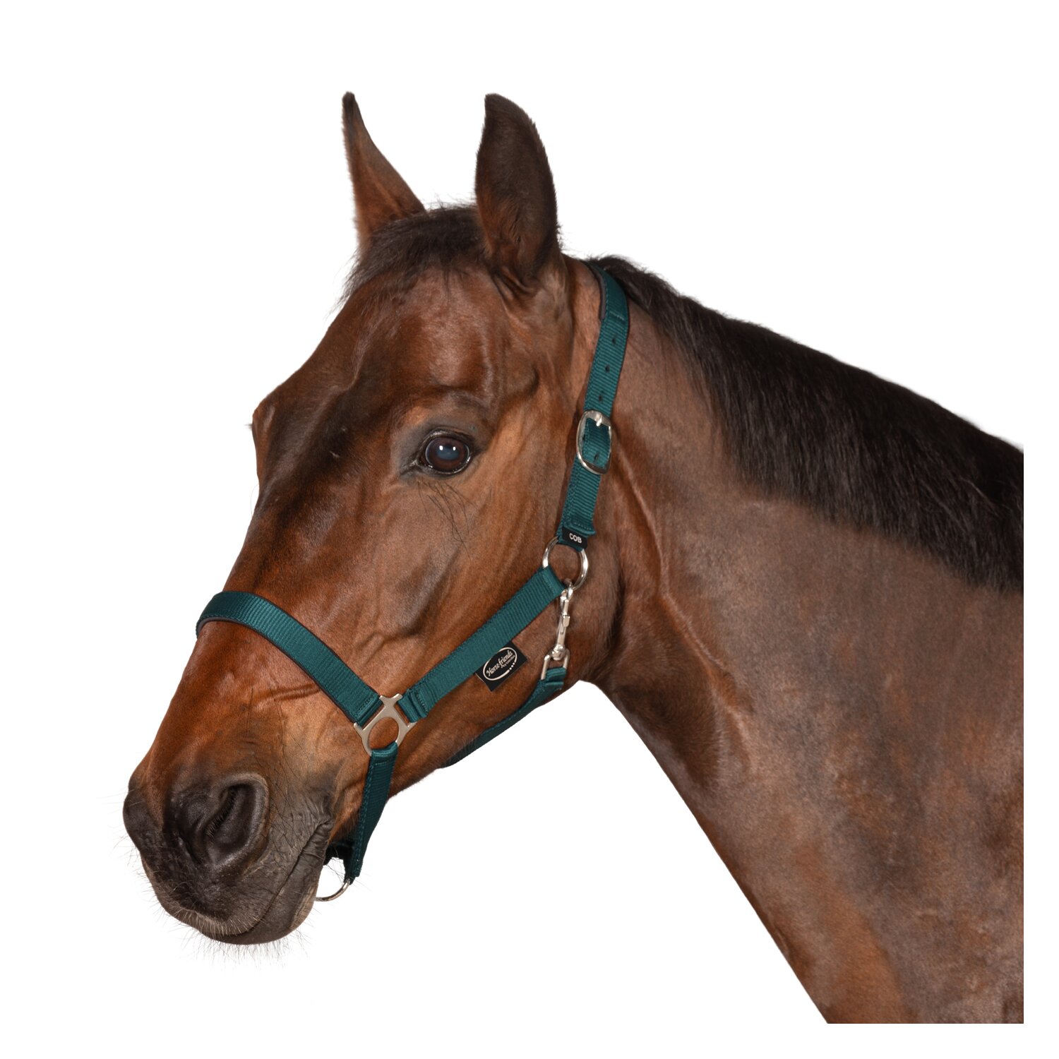 Horse-friends Webhalfter Pin Buckle &ndash; Ansicht 2