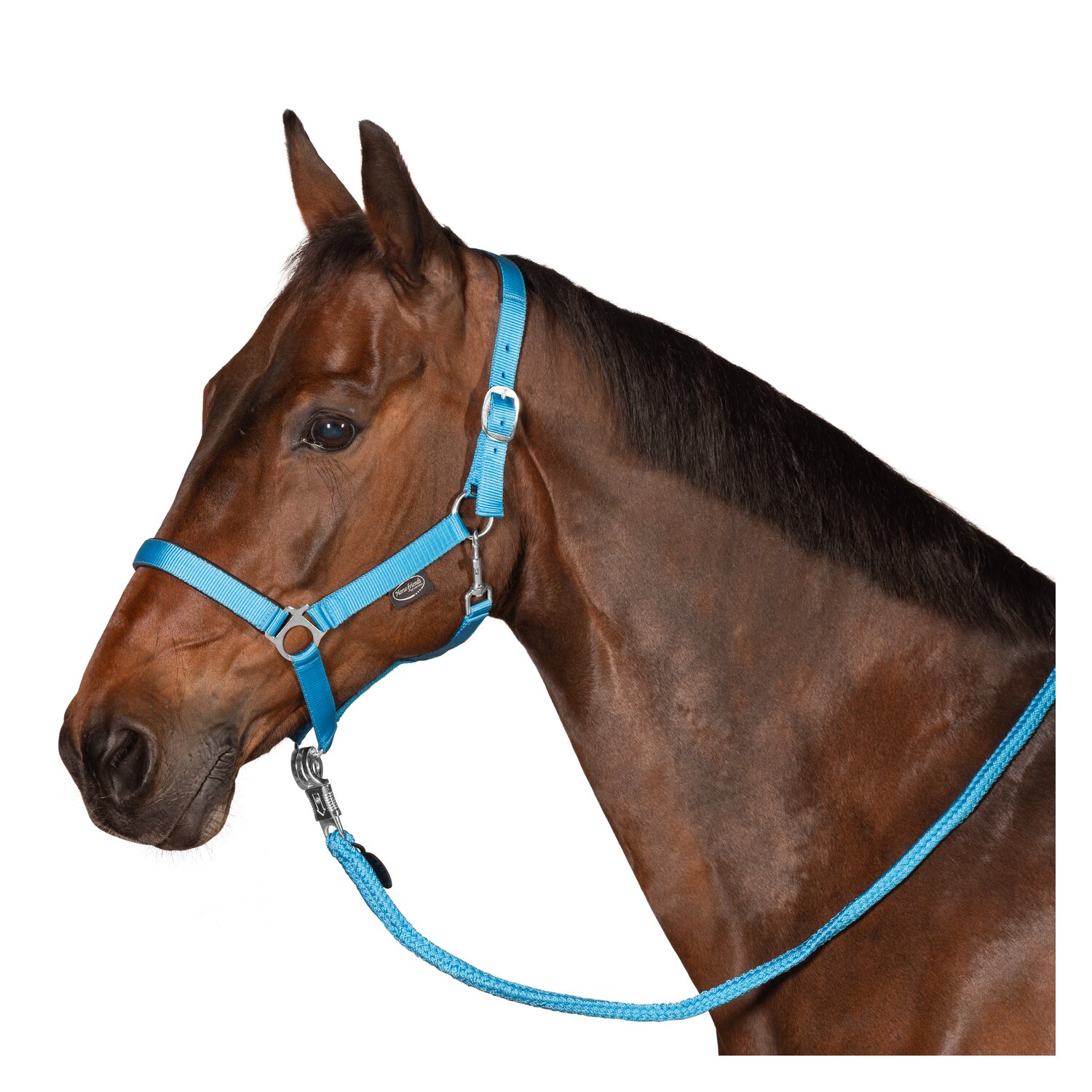 Horse-friends Webhalfter Pin Buckle &ndash; Ansicht 2