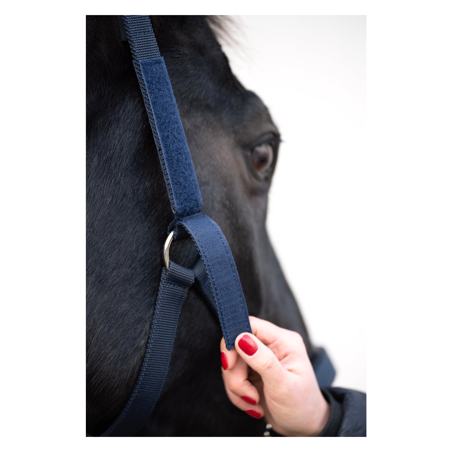 Horse-friends Sicherheits-Halfter – Ansicht 5