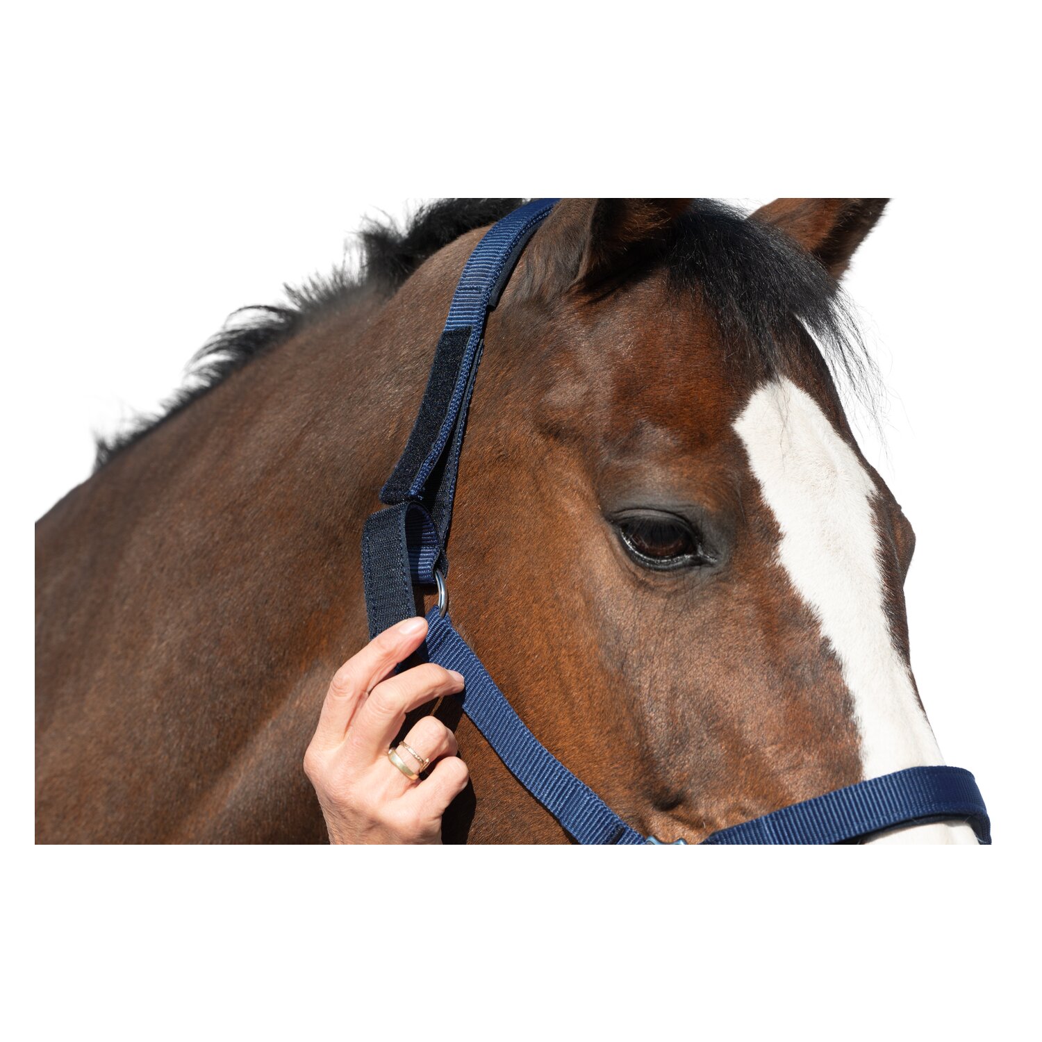 Horse-friends Sicherheits-Halfter – Ansicht 3
