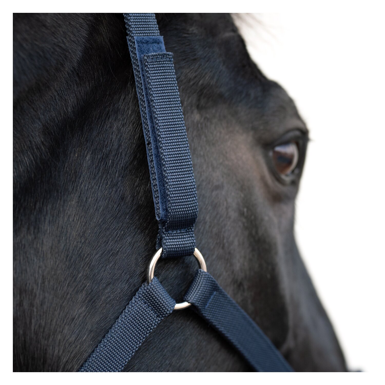 Horse-friends Sicherheits-Halfter – Ansicht 4