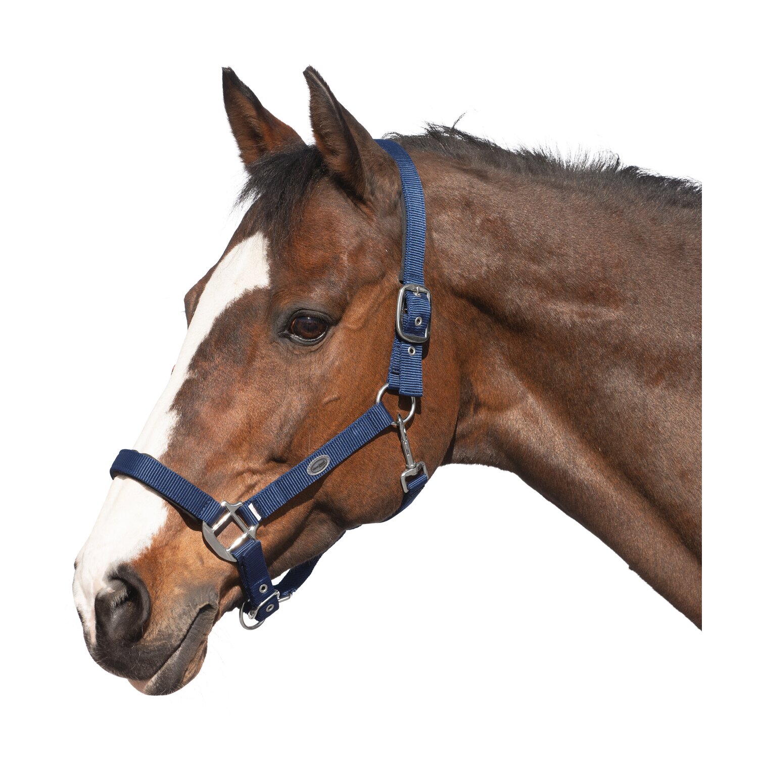Horse-friends Sicherheits-Halfter – Ansicht 1