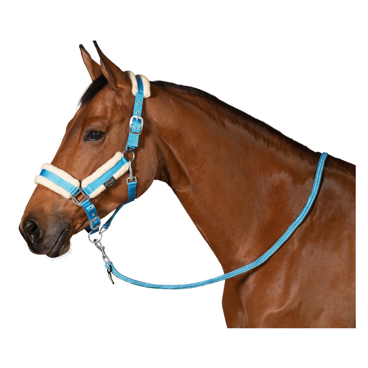 Horse-friends Webhalfter FauxFur Double Pin Buckle &ndash; Ansicht 4