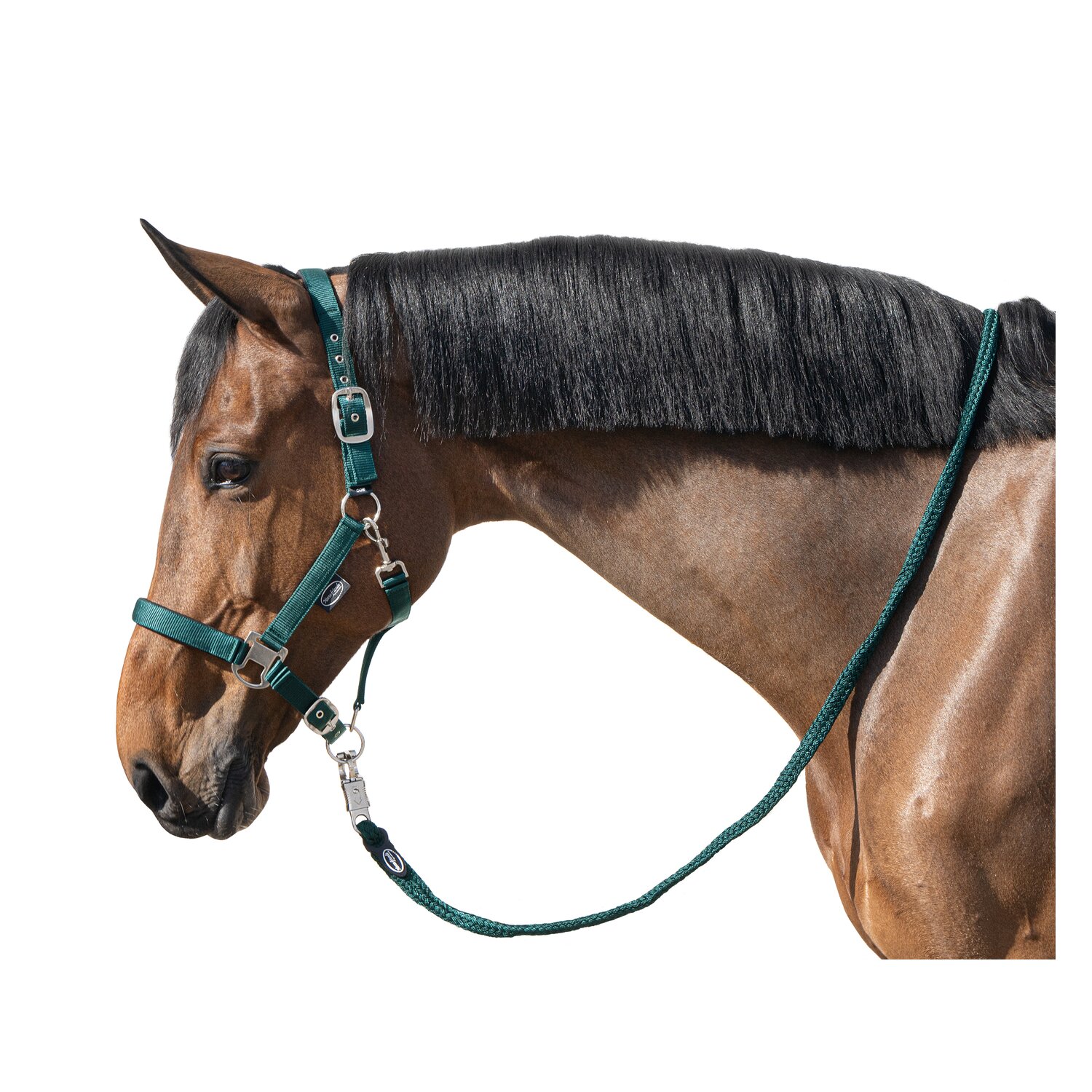 Horse-friends Führ- und Anbindestrick, für Pferde &ndash; Ansicht 5