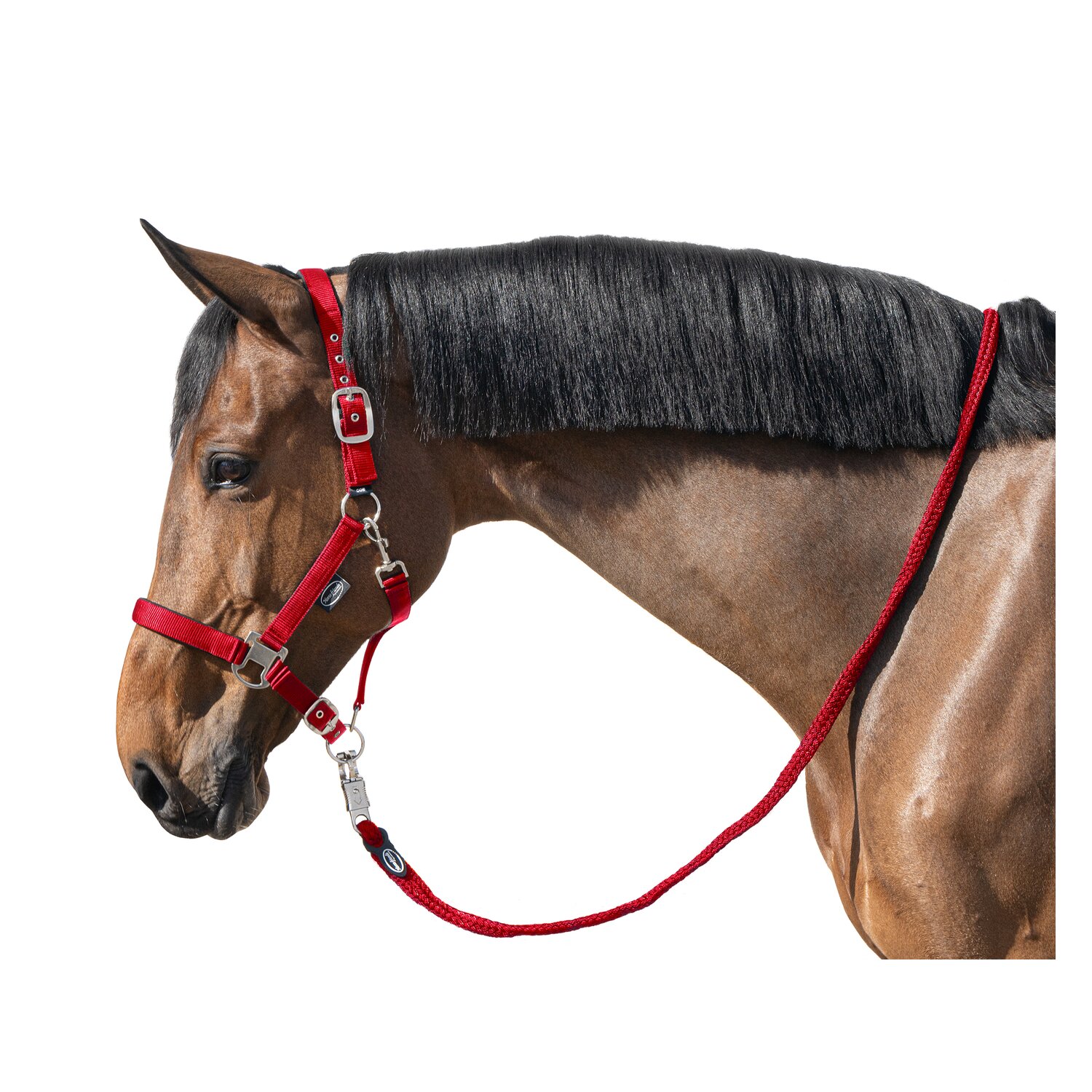 Horse-friends Führ- und Anbindestrick, für Pferde &ndash; Ansicht 4