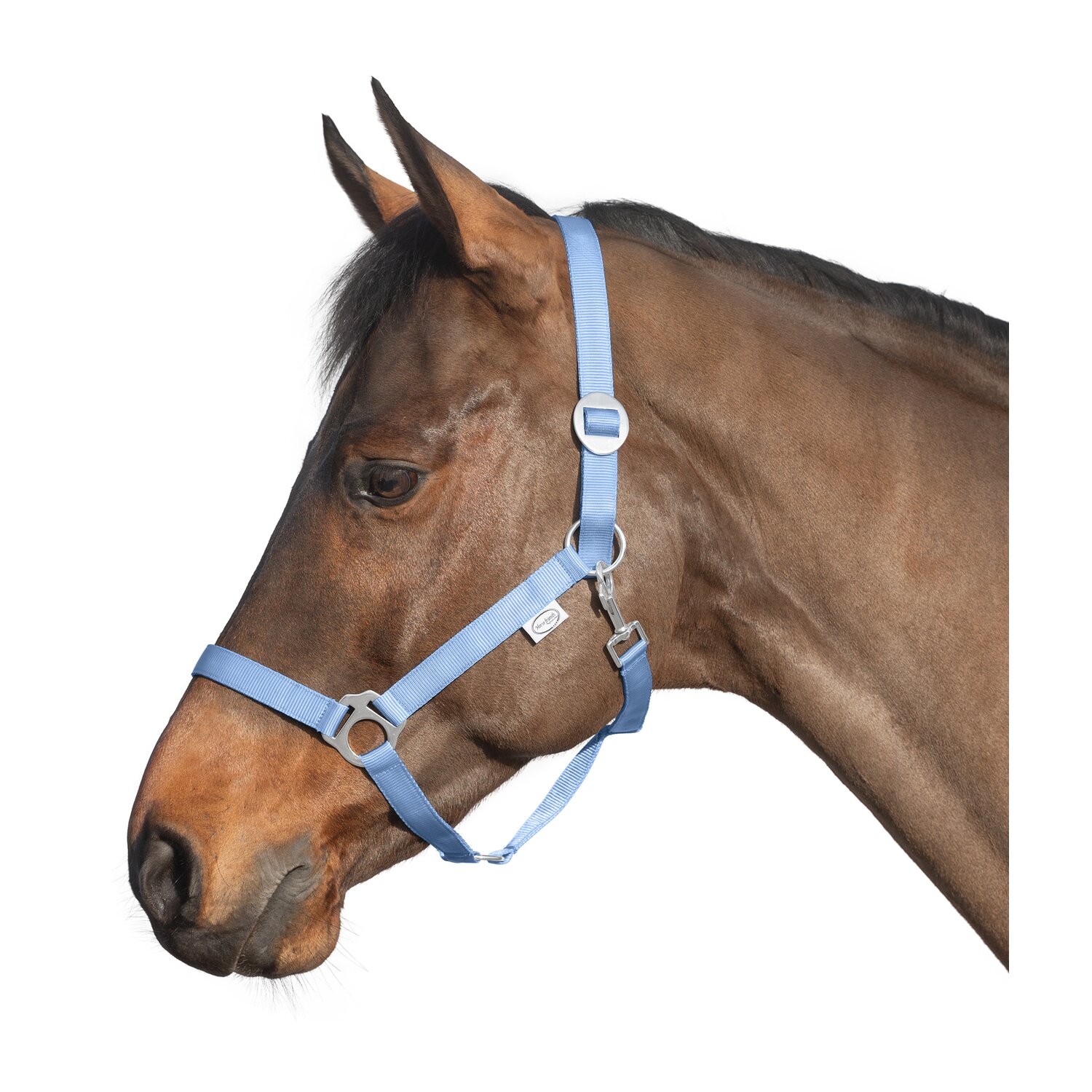Loesdau Webhalfter babyblau WB