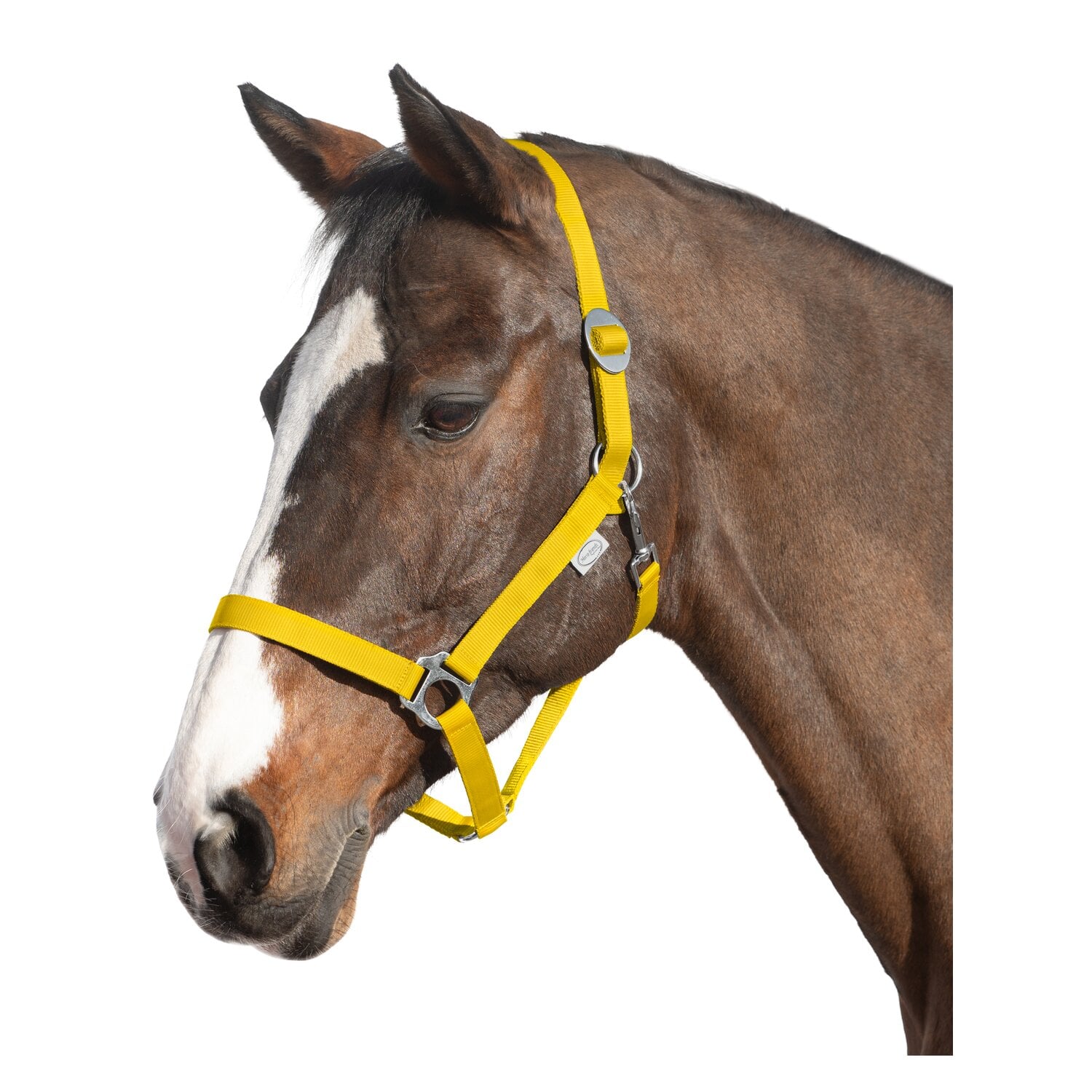 Loesdau Webhalfter – Ansicht 1